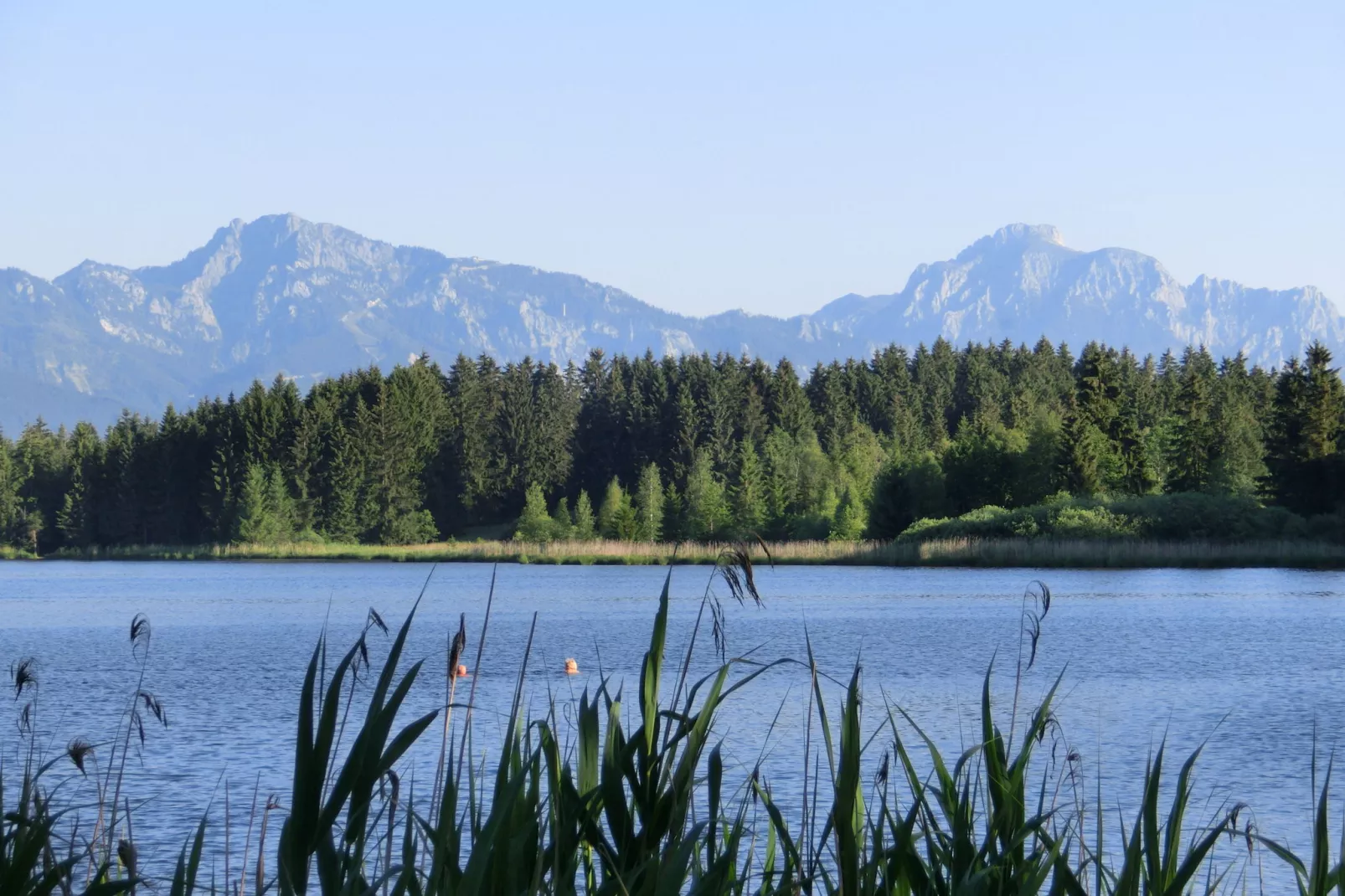 Bad Bayersoien-Areas summer 20km