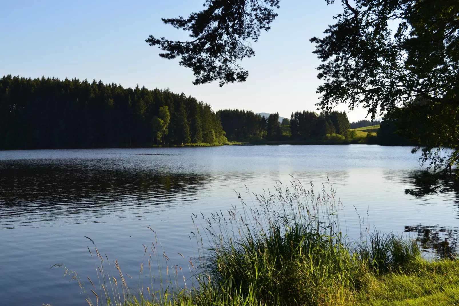 Bad Bayersoien-Areas summer 20km