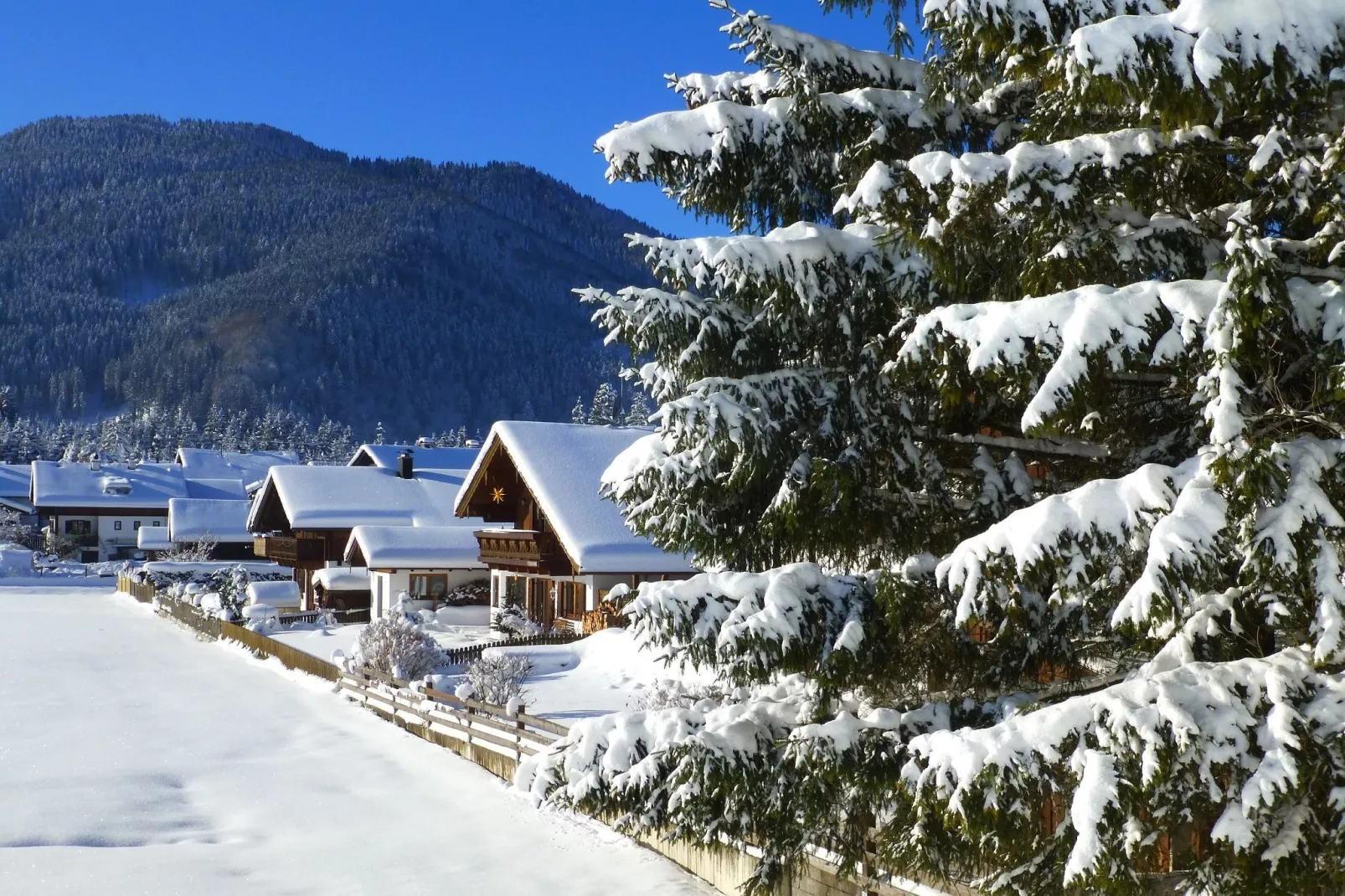 Sonnenblume-Exterior in winter
