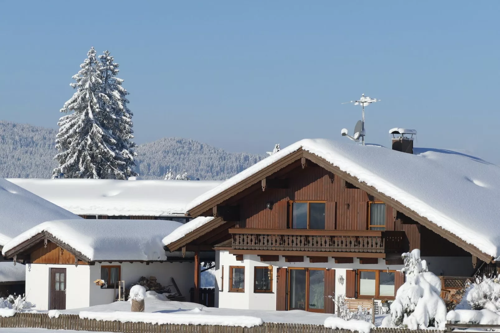 Sonnenblume-Exterior in winter