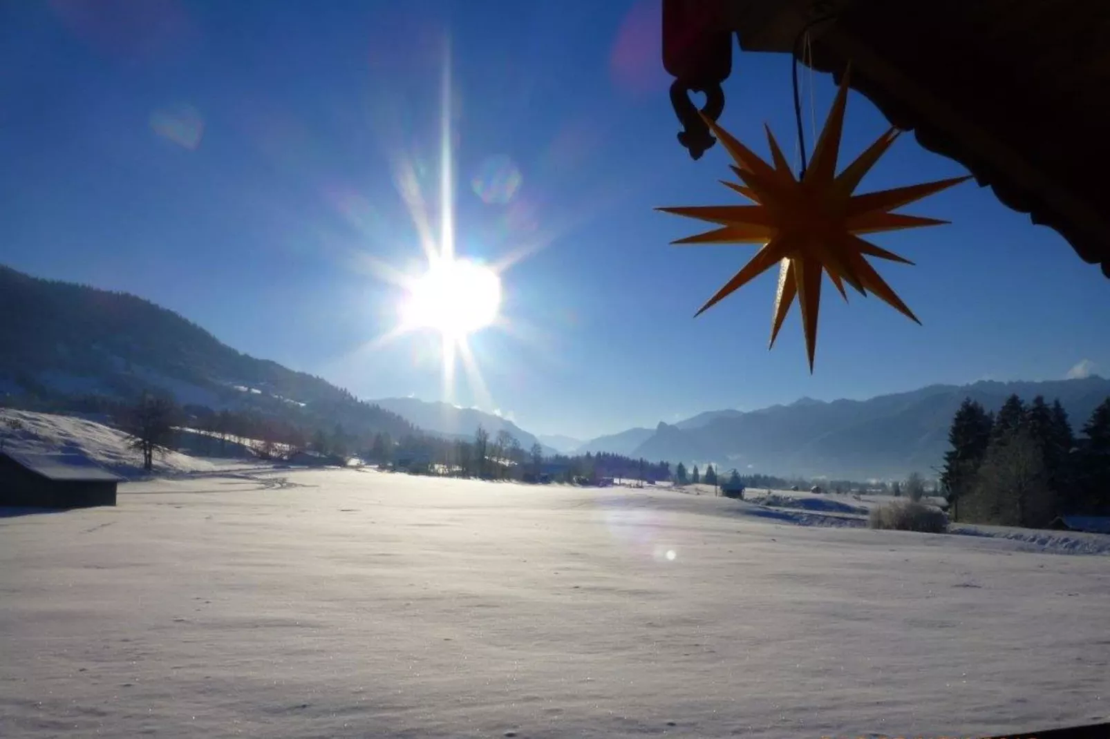 Sonnenblume-View in winter