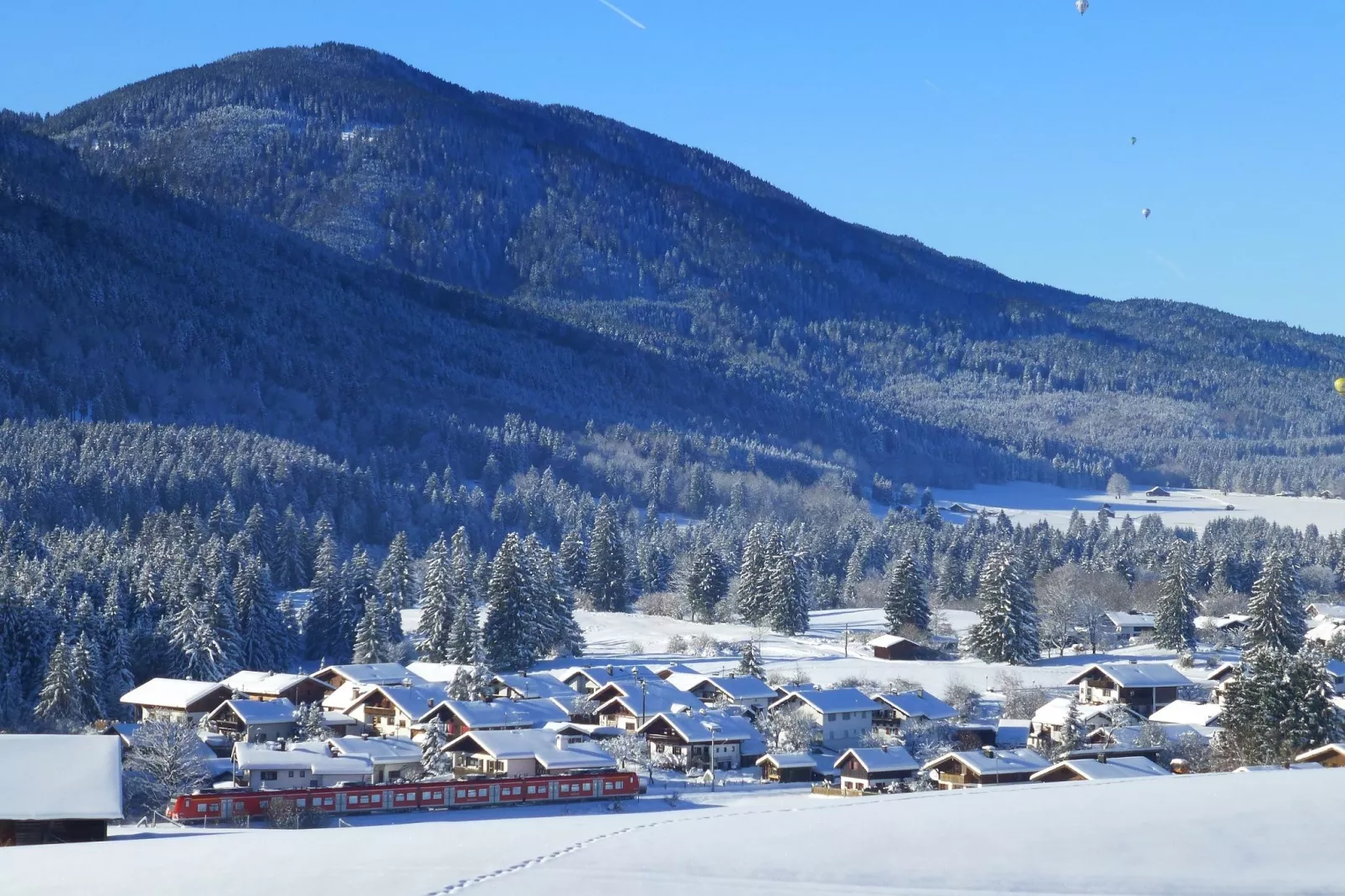 Sonnenblume-Area within 1km in winter