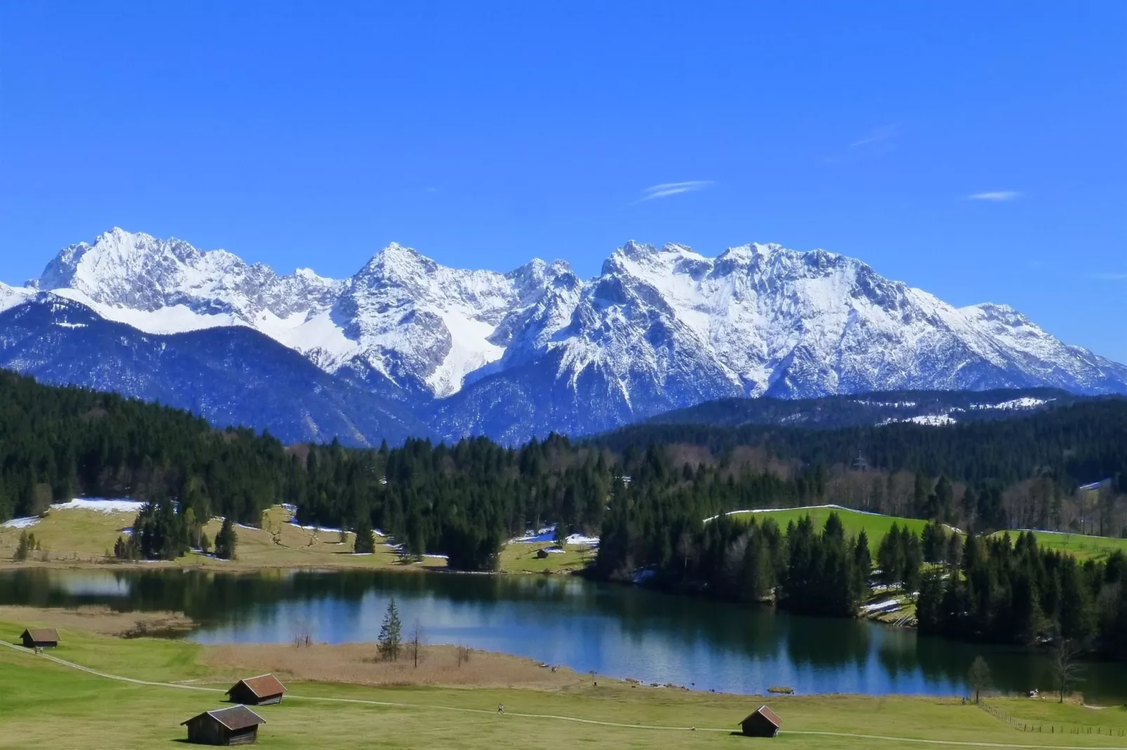 Sonnenblume-Areas within 20km in summer