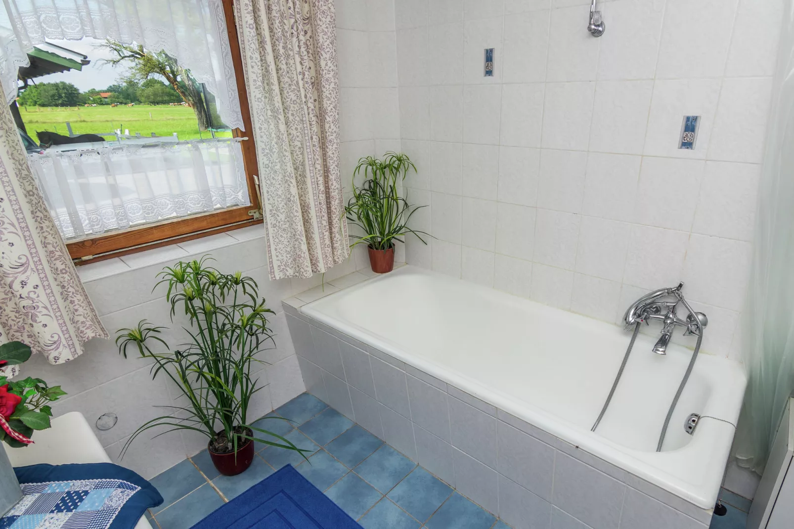 Im Bauernhaus-Bathroom