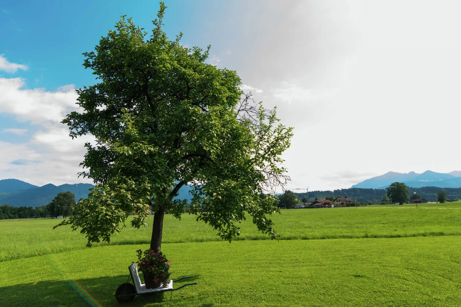 Im Bauernhaus-Areas summer 1km