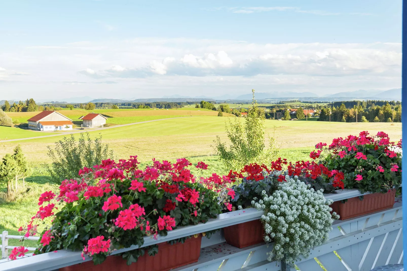 Am Berghof-View in summer