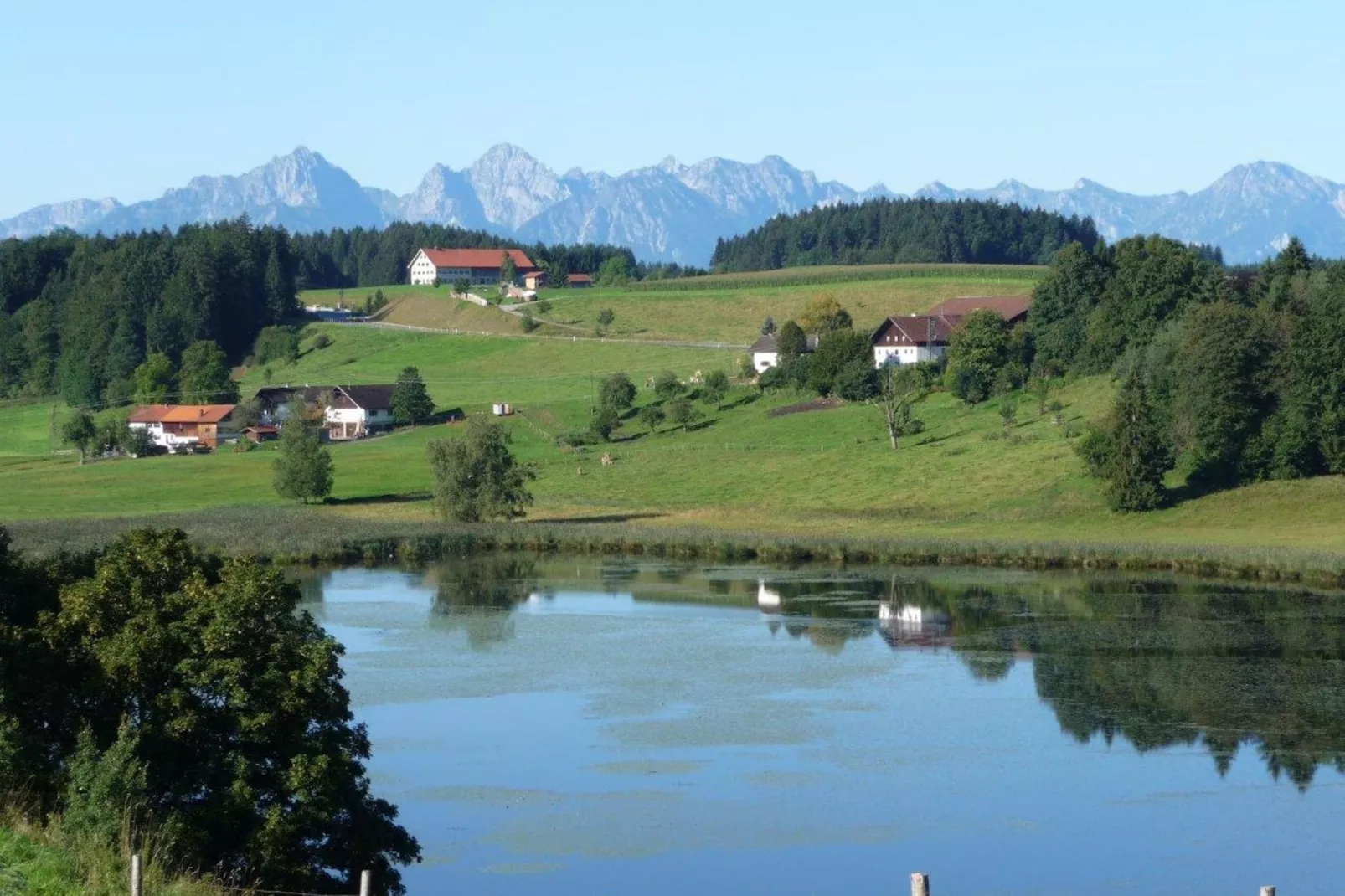 Holzmann-Areas summer 1km