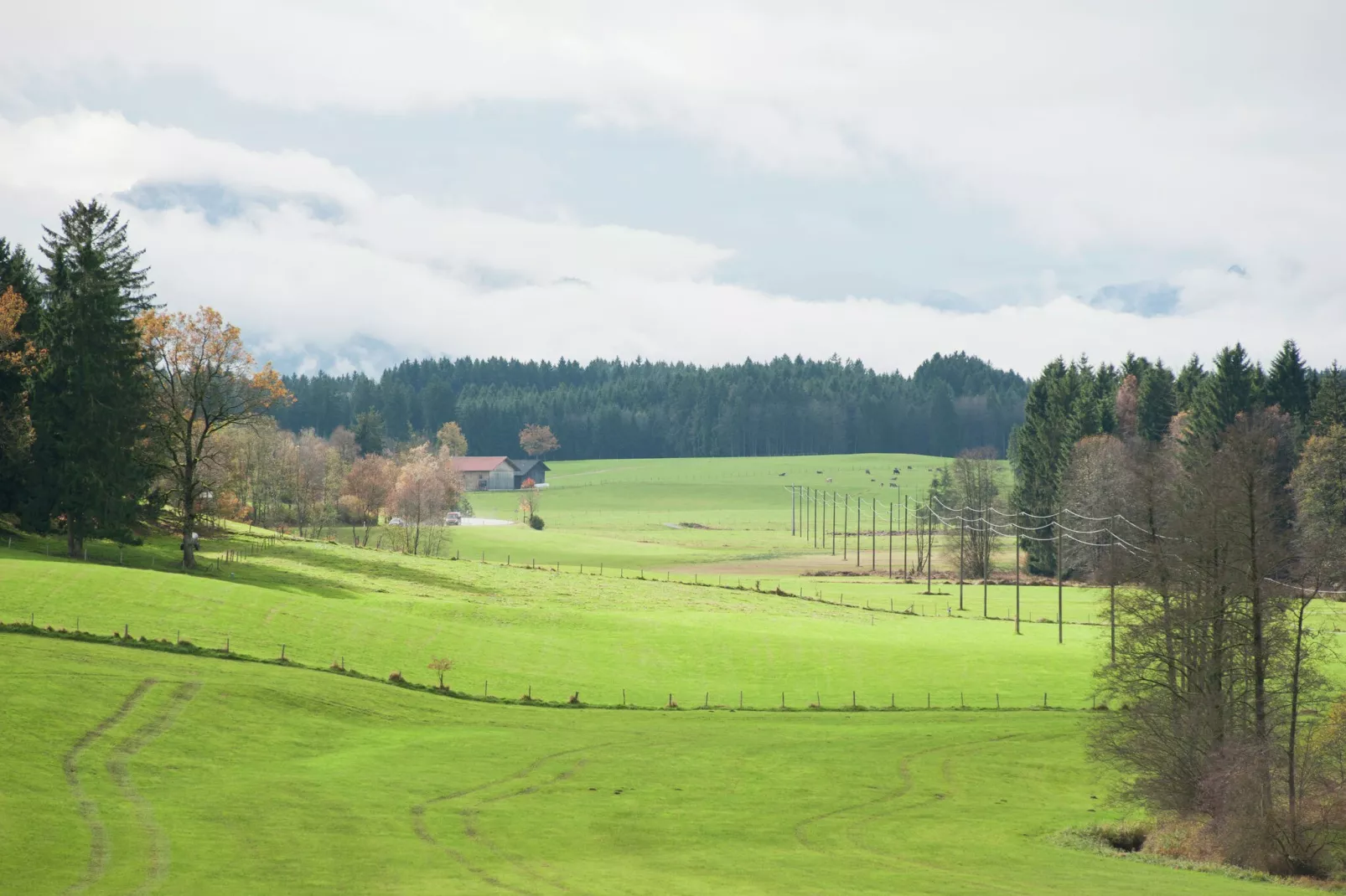 Holzmann-Areas summer 5km