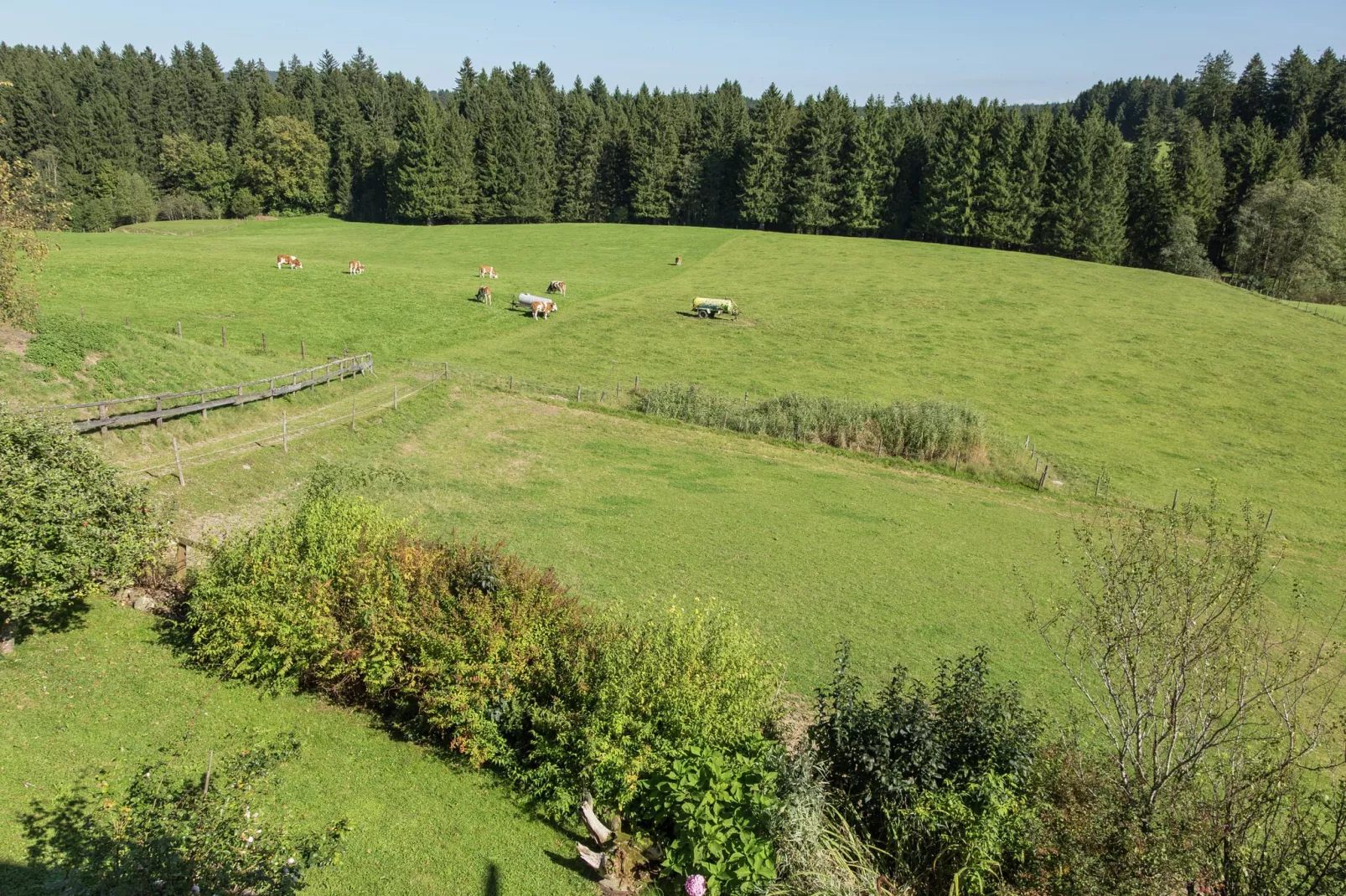 Knittel-View summer