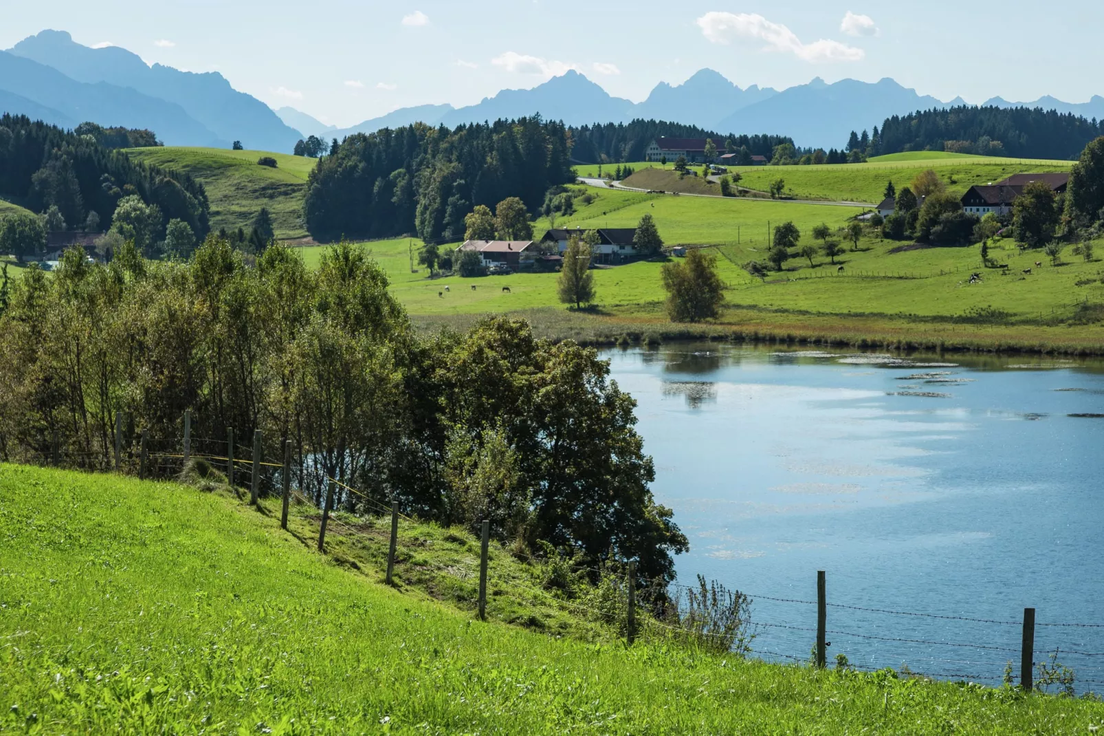 Knittel-Areas summer 1km