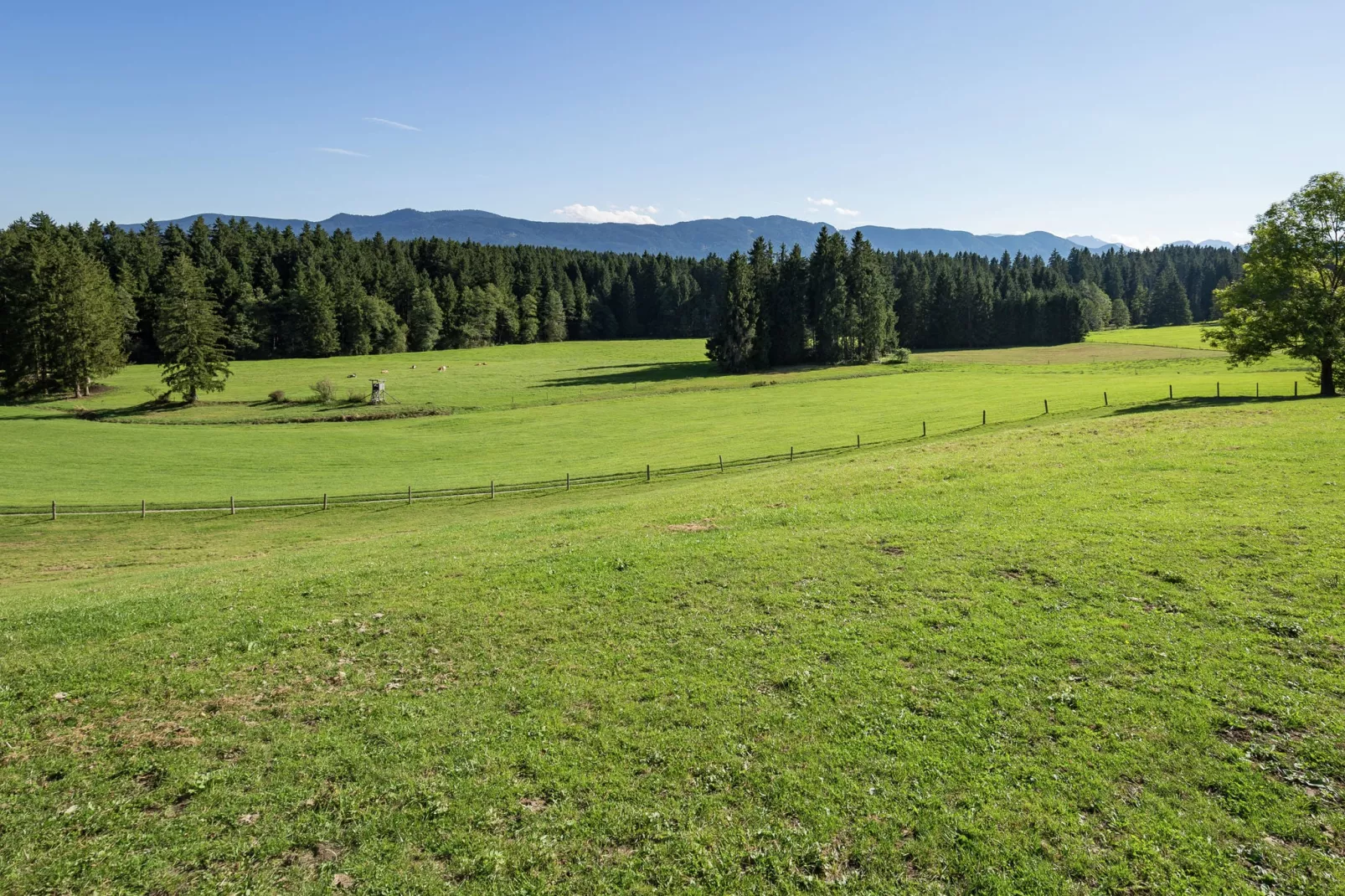 Knittel-Areas summer 1km