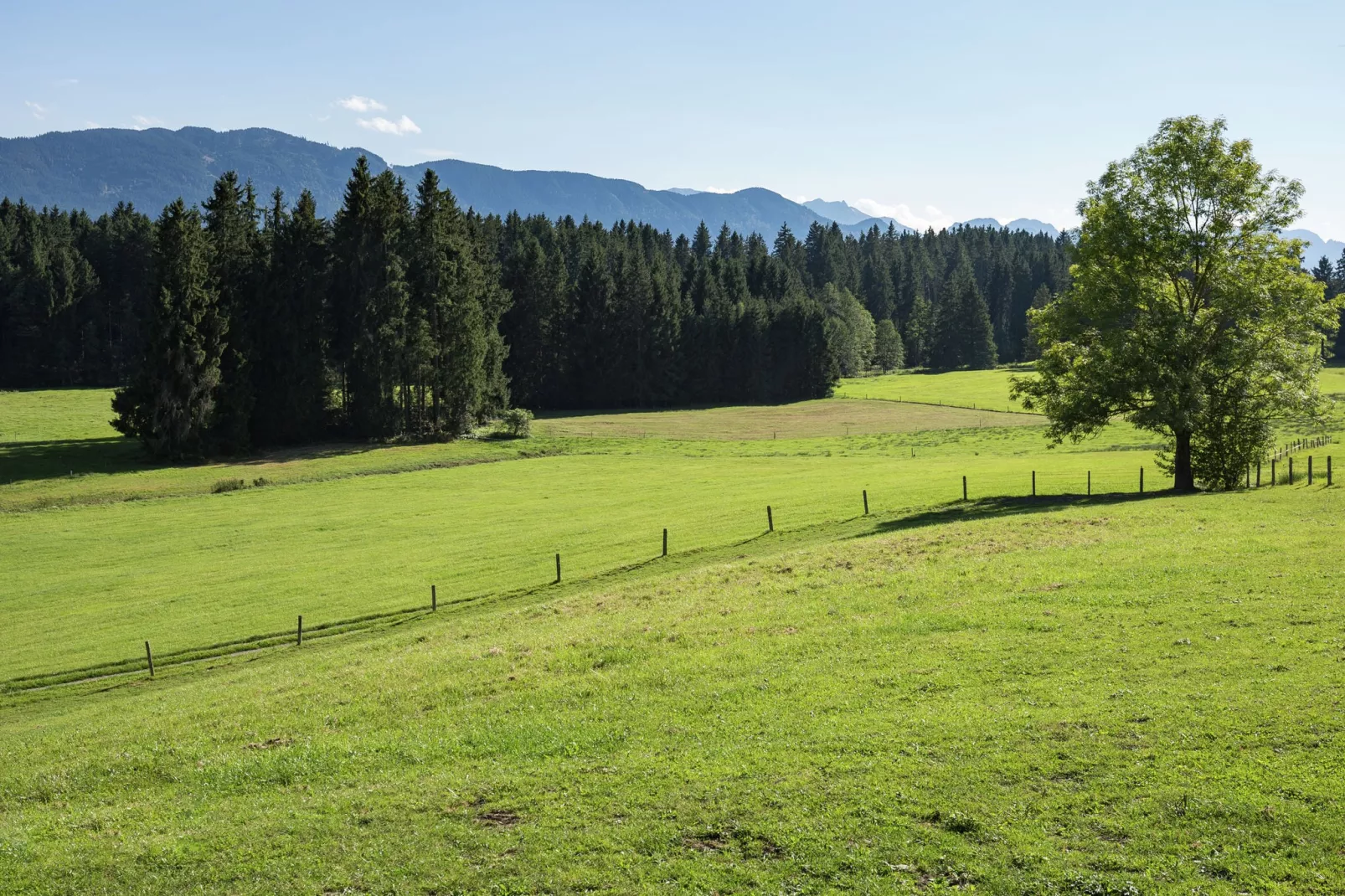 Knittel-Areas summer 1km