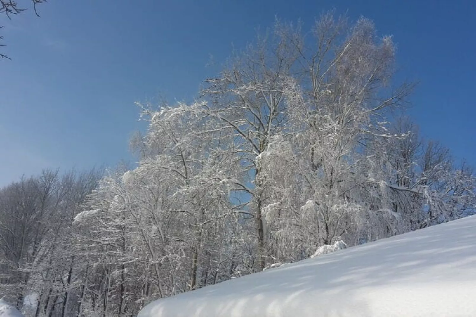 Has'n Res-View winter