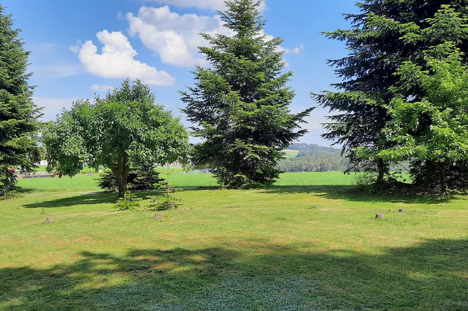 Has'n Res-Areas summer 1km