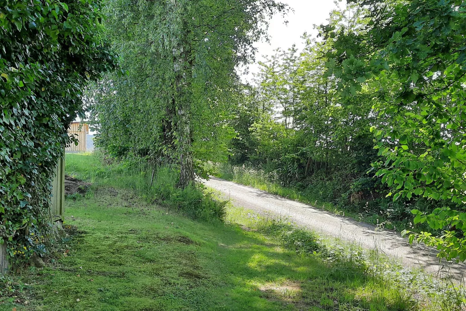 Has'n Res-Areas summer 1km