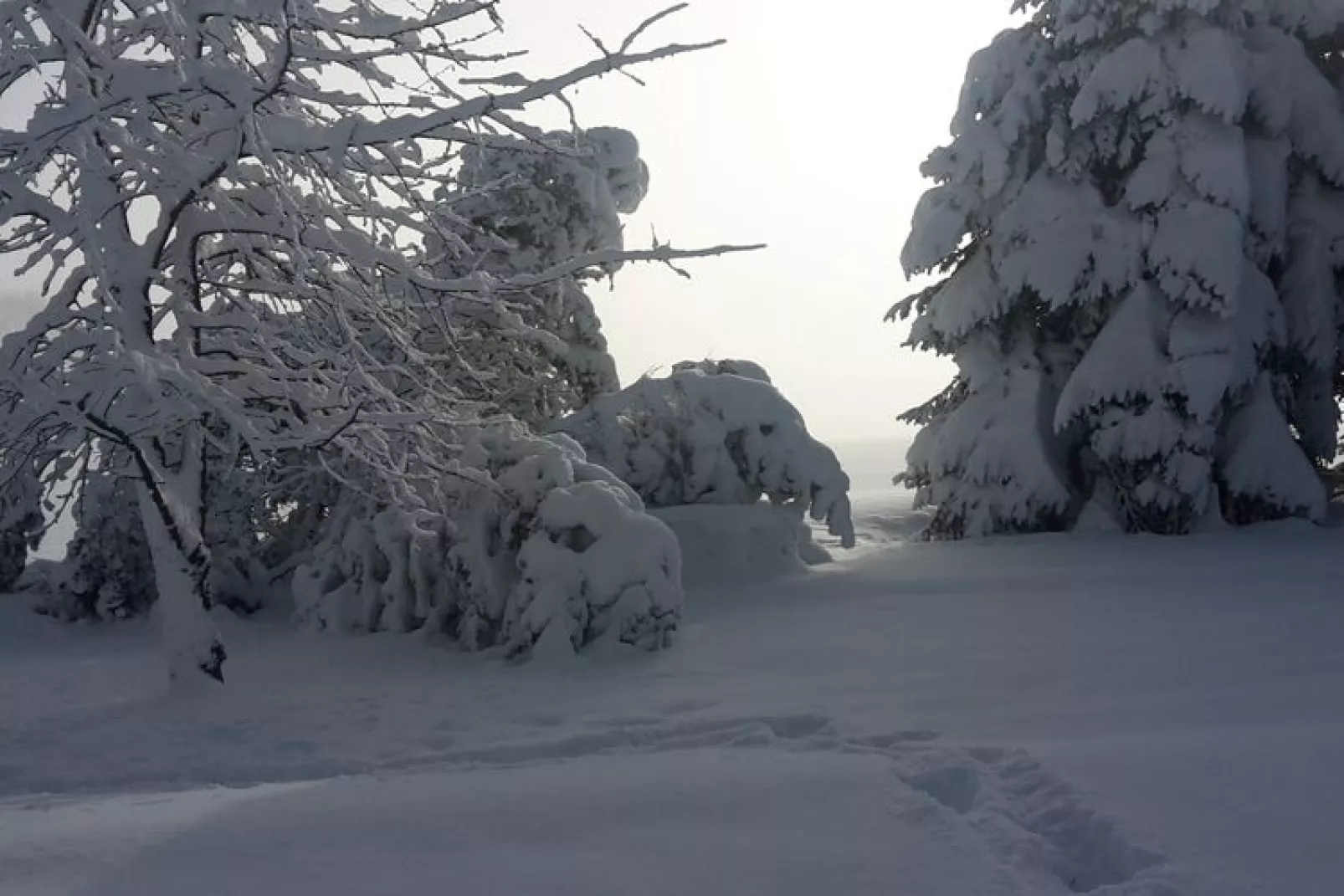 Has'n Res-Area winter 1km