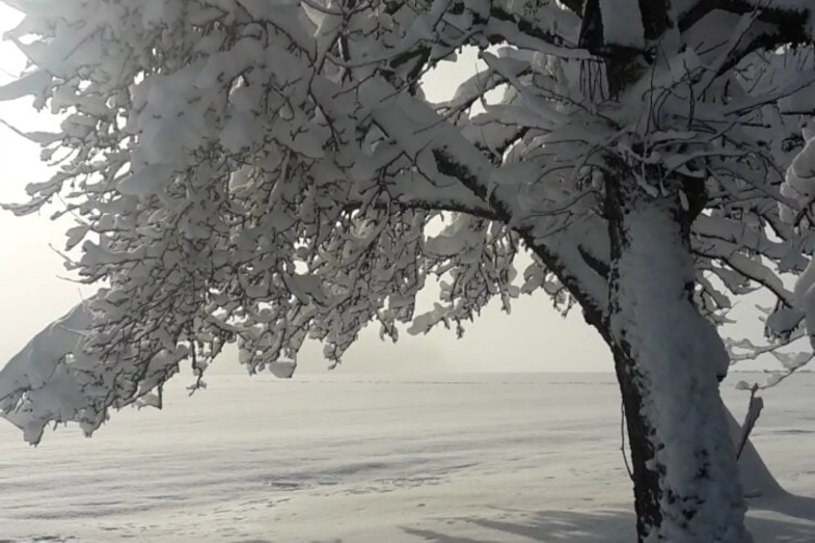 Has'n Res-Area winter 1km
