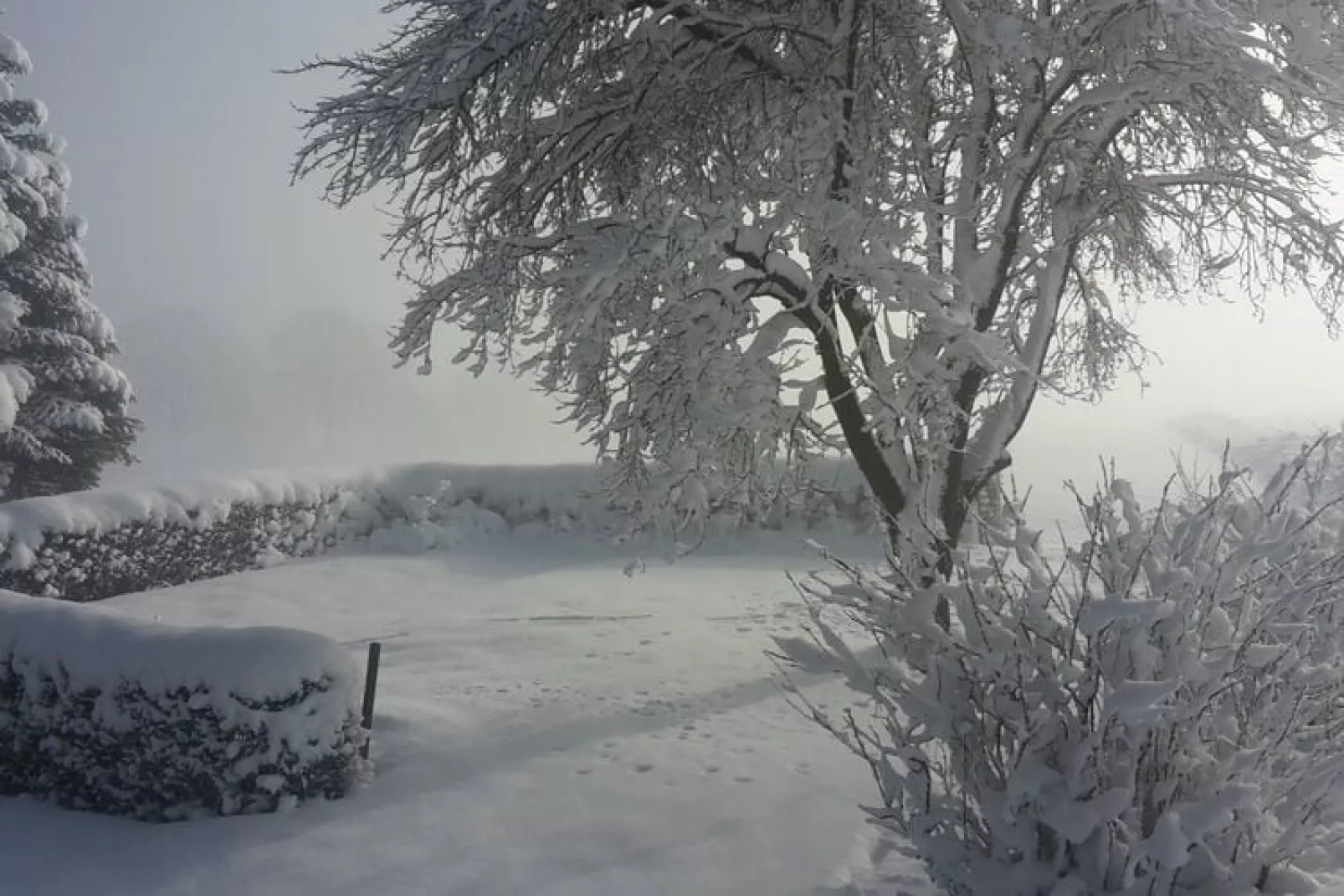 Has'n Res-Area winter 1km