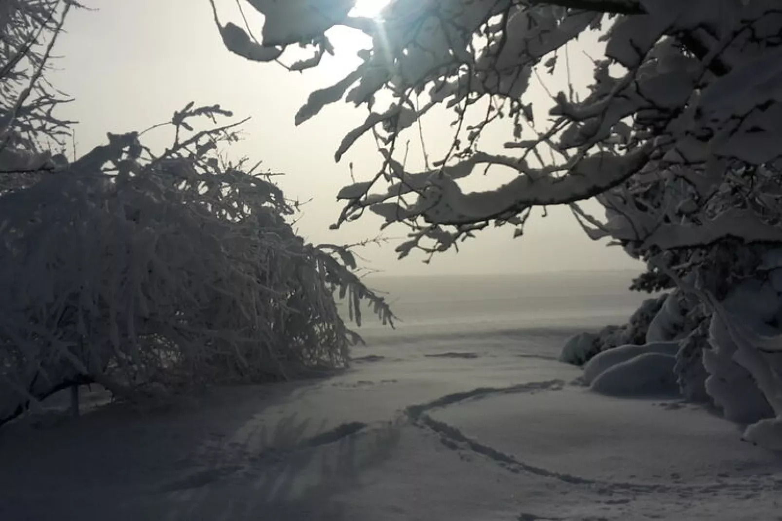 Has'n Res-Area winter 1km