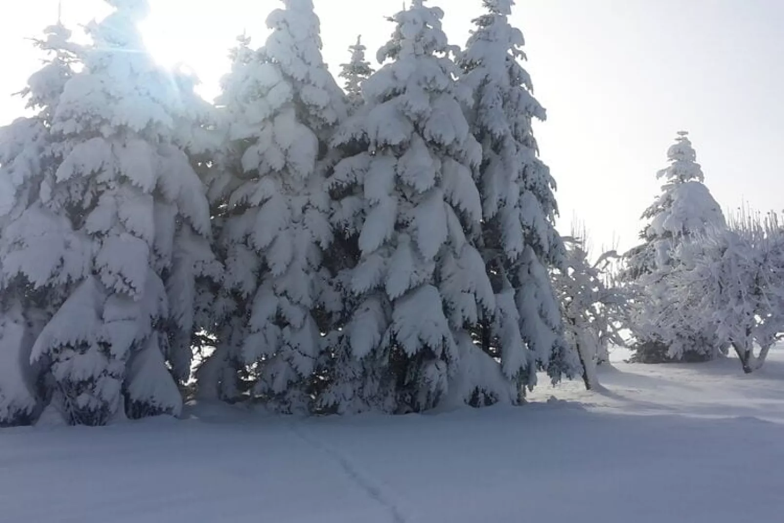 Has'n Res-Area winter 1km