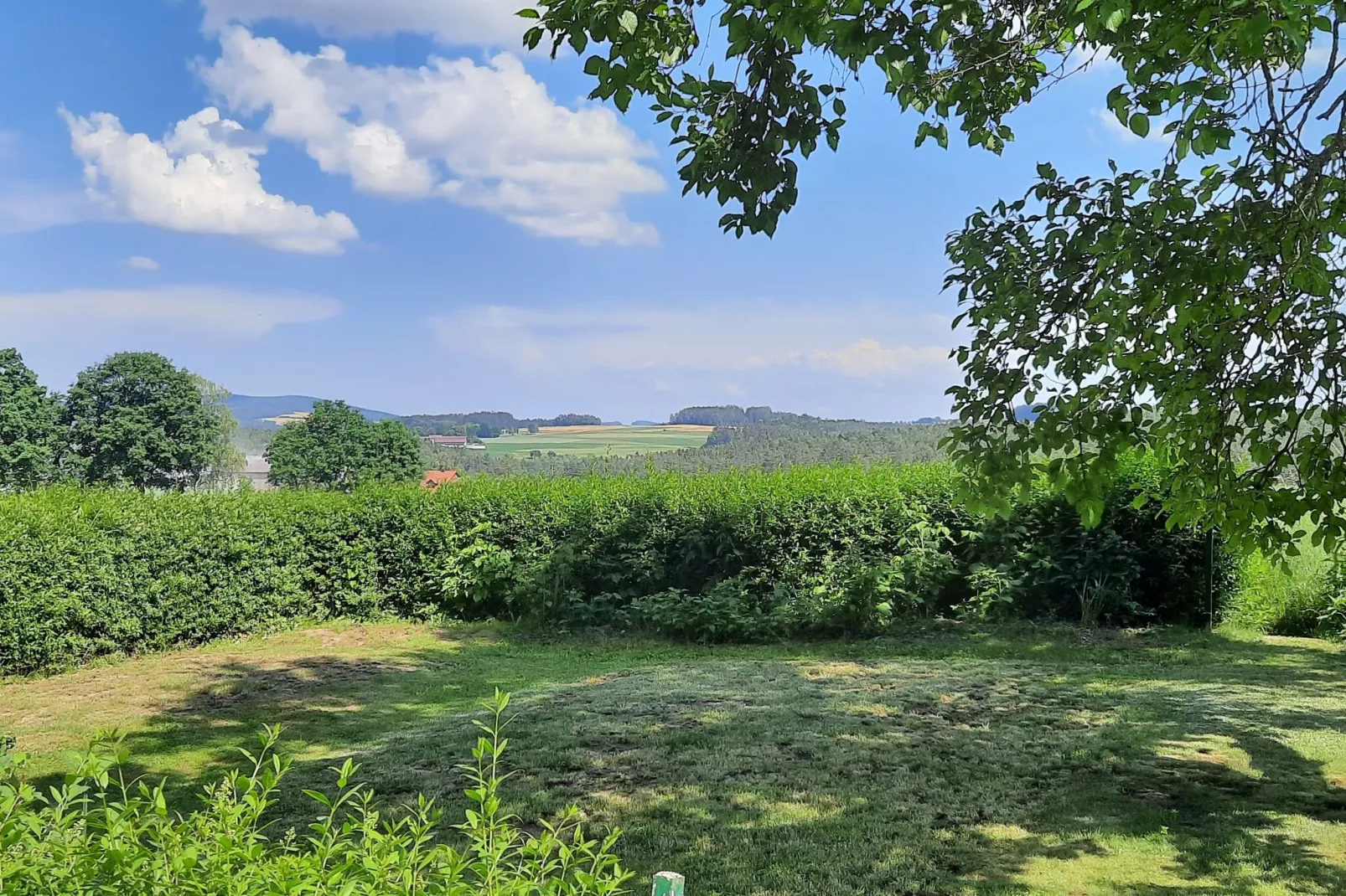 Has'n Res-Areas within 1km in summer