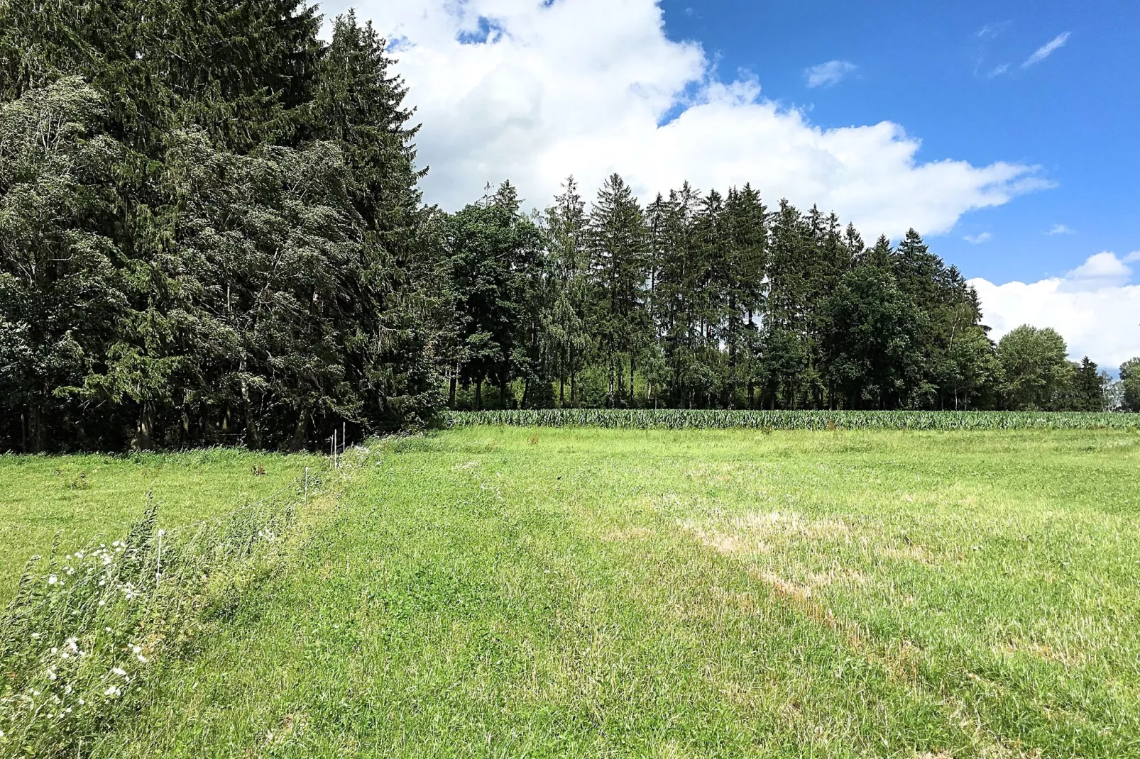 Oberer Bayerischer Wald-View summer