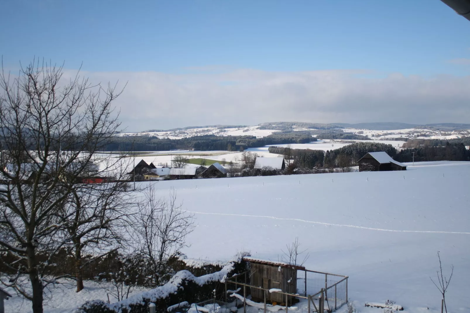 Oberer Bayerischer Wald-View winter