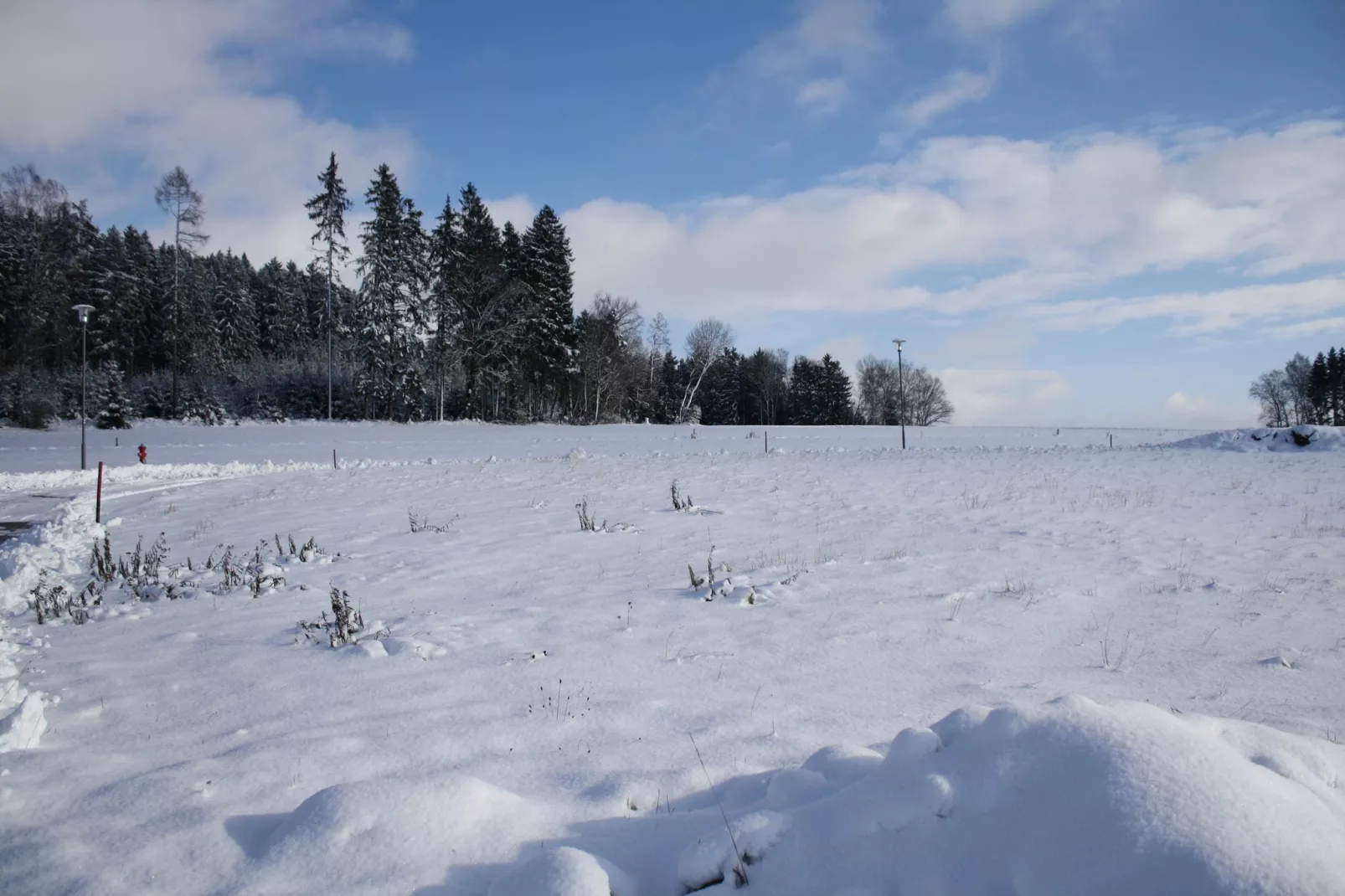 Oberer Bayerischer Wald-Area winter 1km