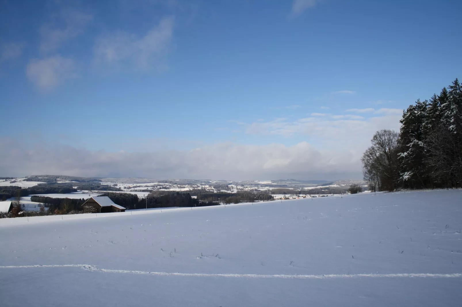 Oberer Bayerischer Wald-Area winter 1km