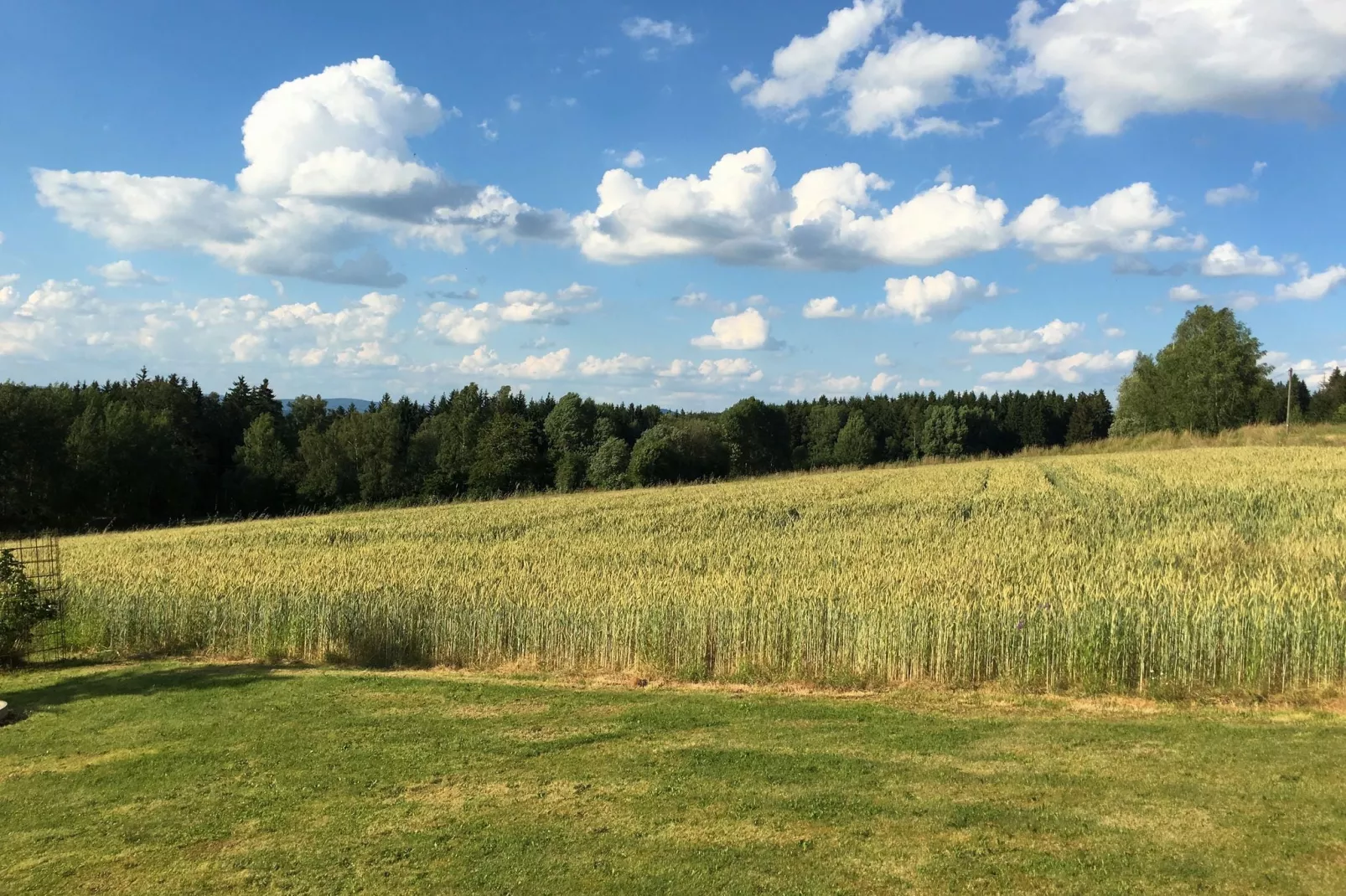 Bayern-View summer