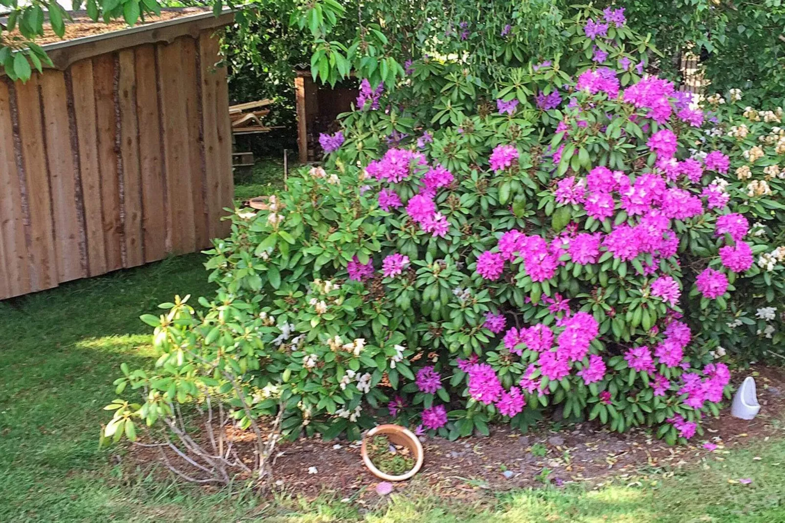 Seaside Oasis in Skovmose-By Traum-Outdoor