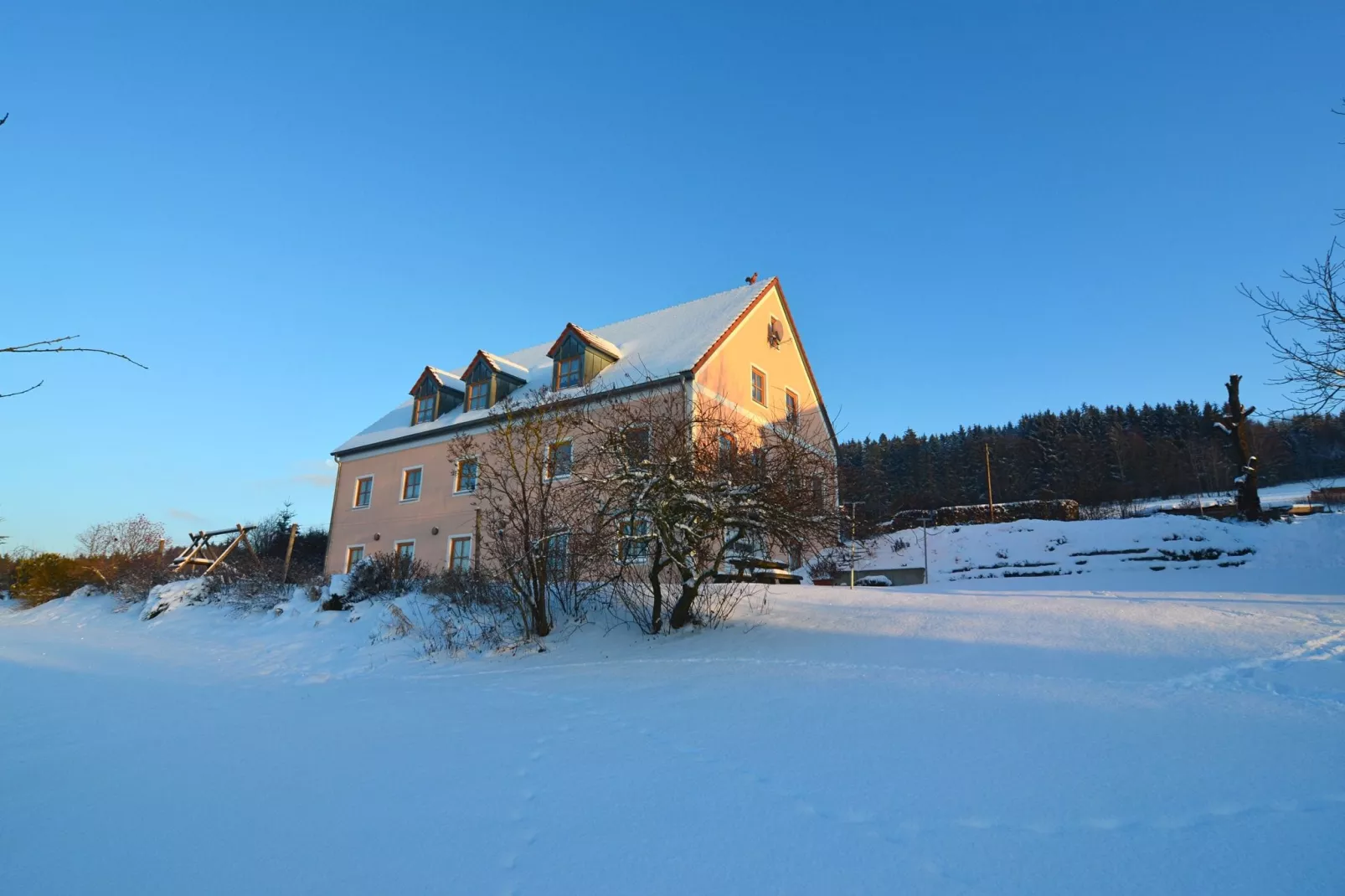 Blumenhof-Außenbereich Winter