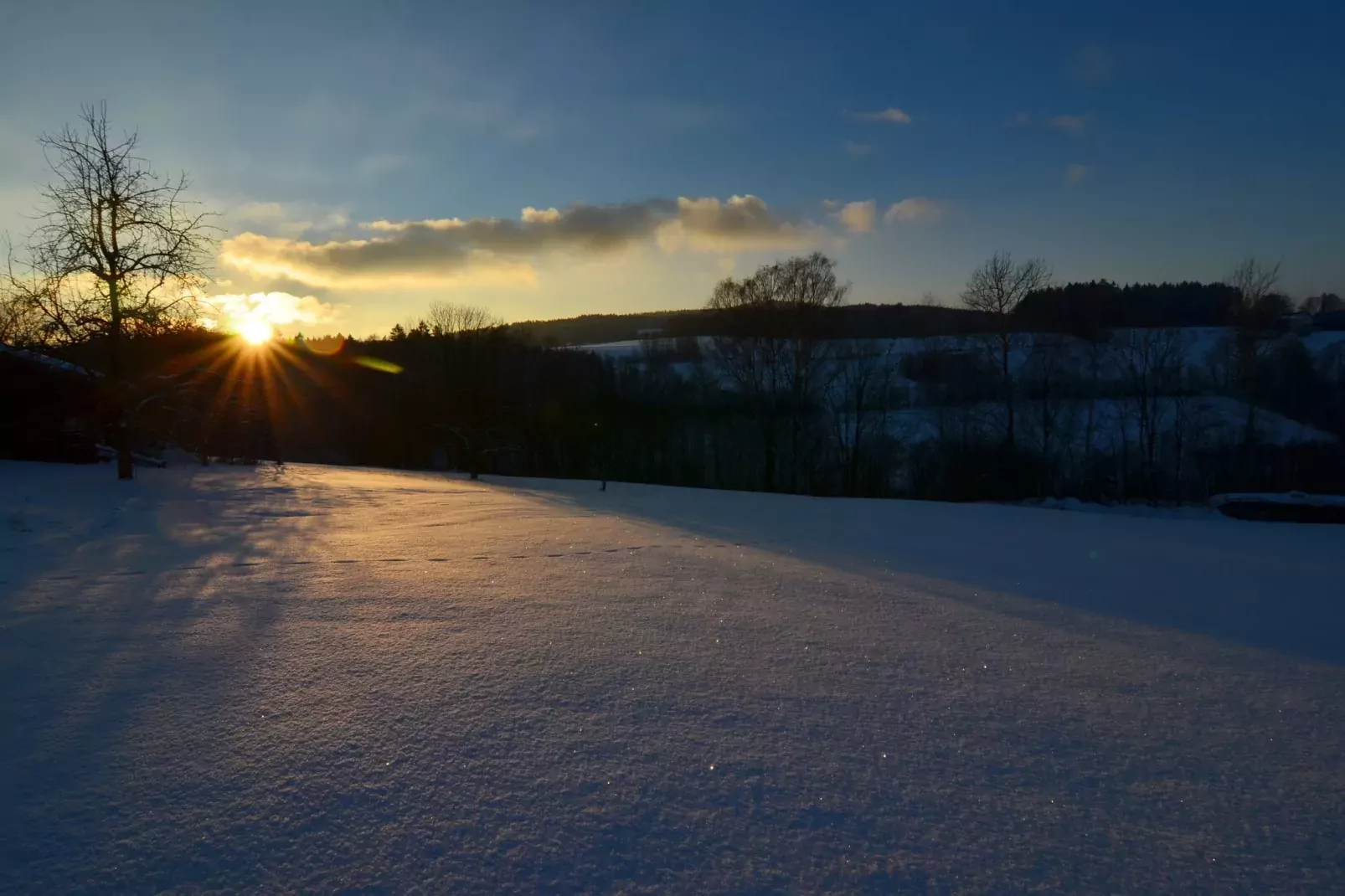 Blumenhof-Aussicht Winter