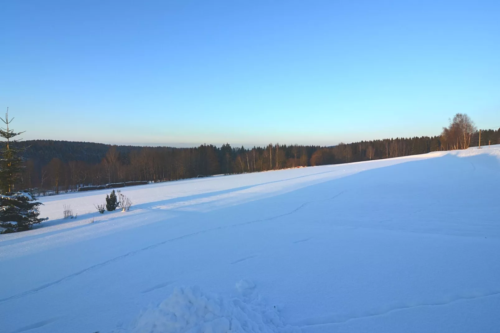 Blumenhof-Aussicht Winter