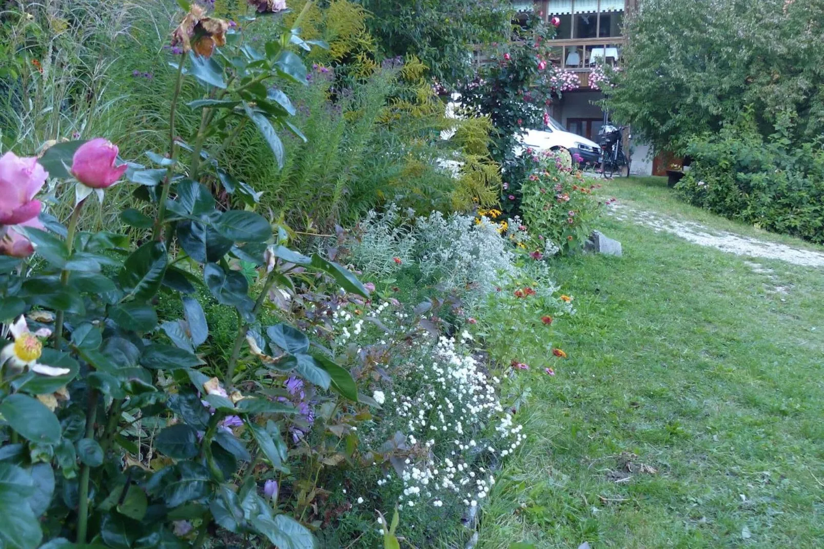 Weiherblasch I-Gardens summer