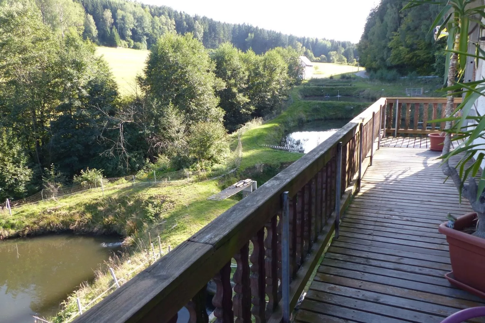 Weiherblasch I-View summer