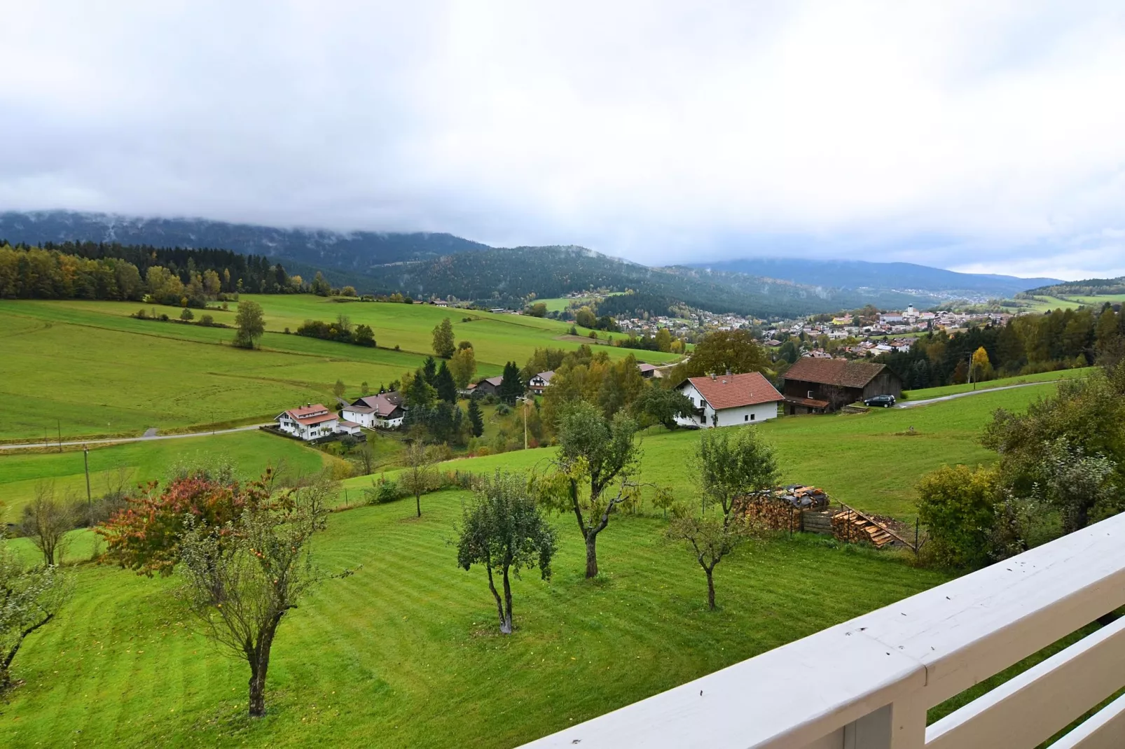 Bayerischer Wald-View summer