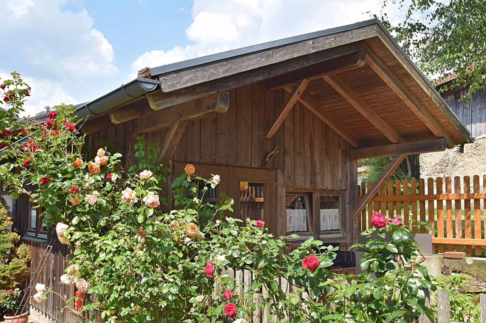 Bayerischer Wald-Jardins en été