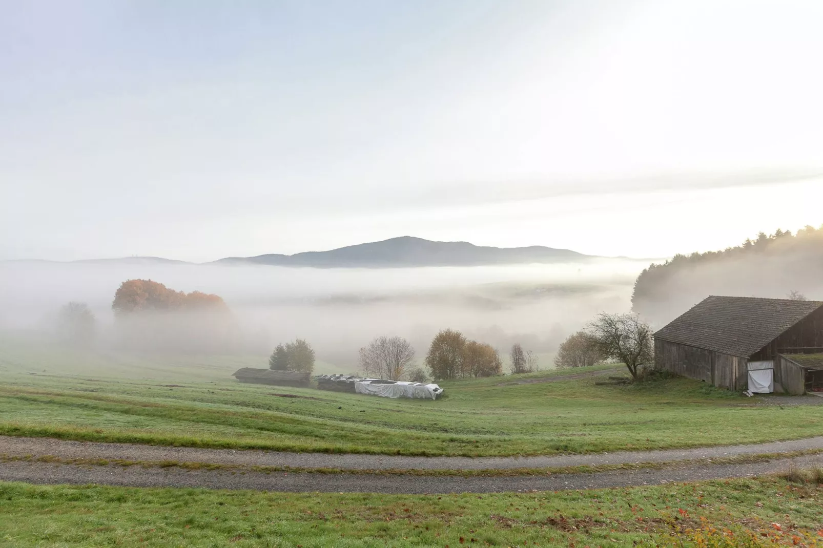 Bayerischer Wald-Zones été à 20 km
