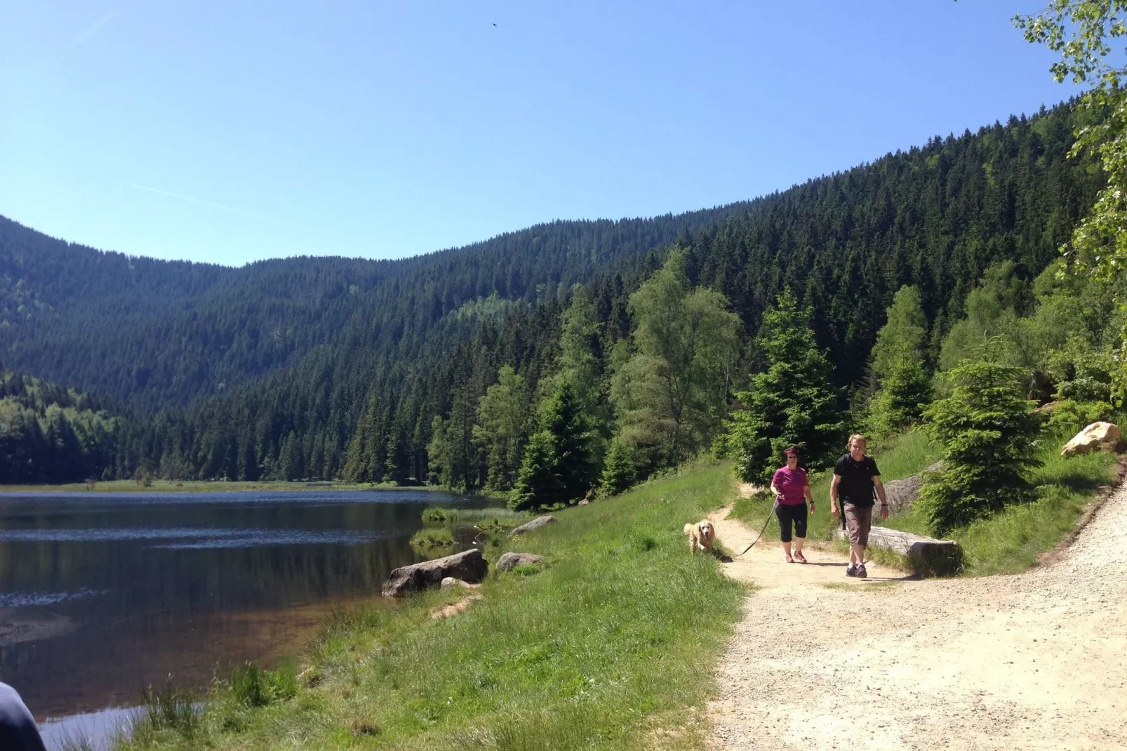Landhaus Simon-Areas summer 20km