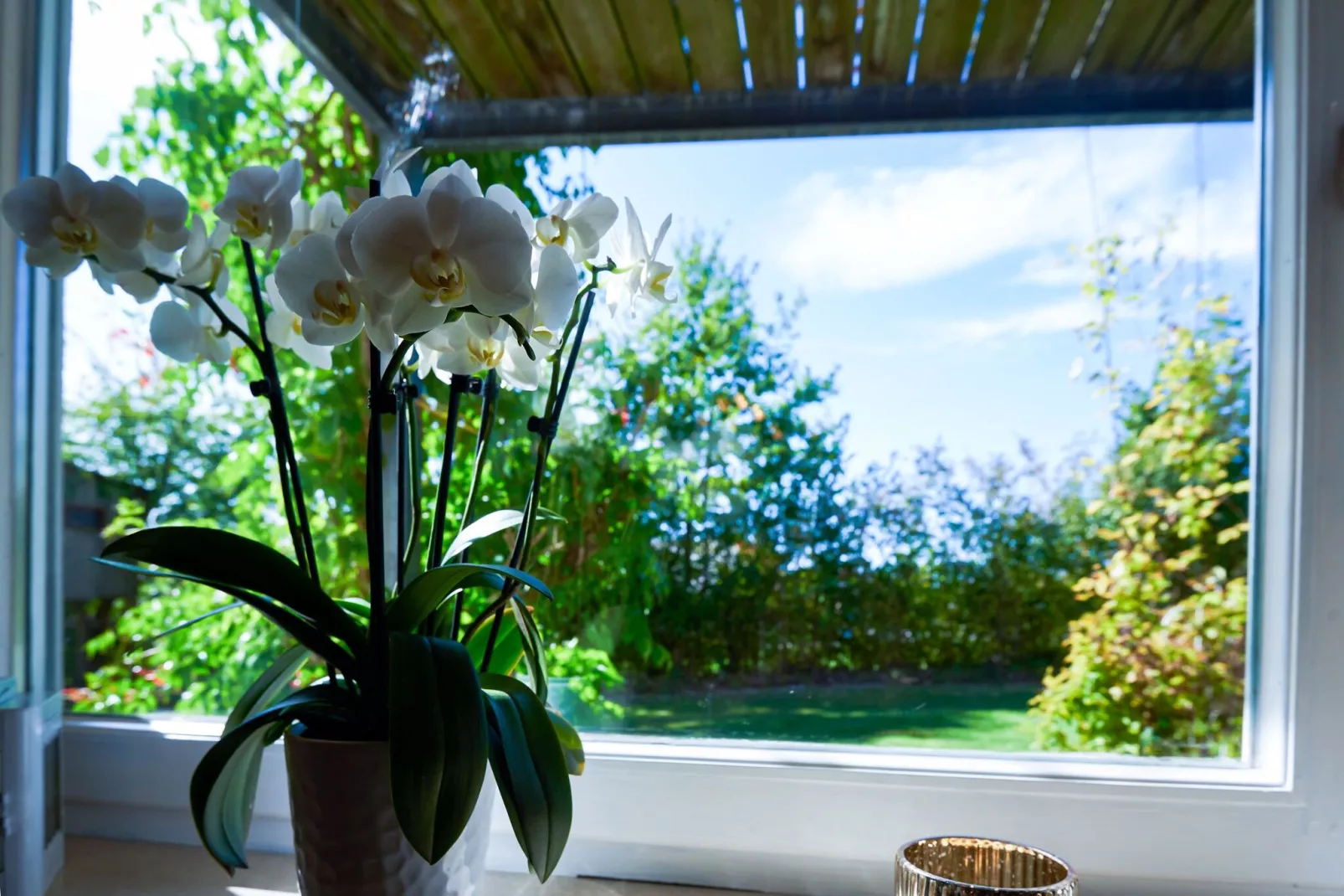 Ferienwohnung Bayerischer Wald-Atmosphere