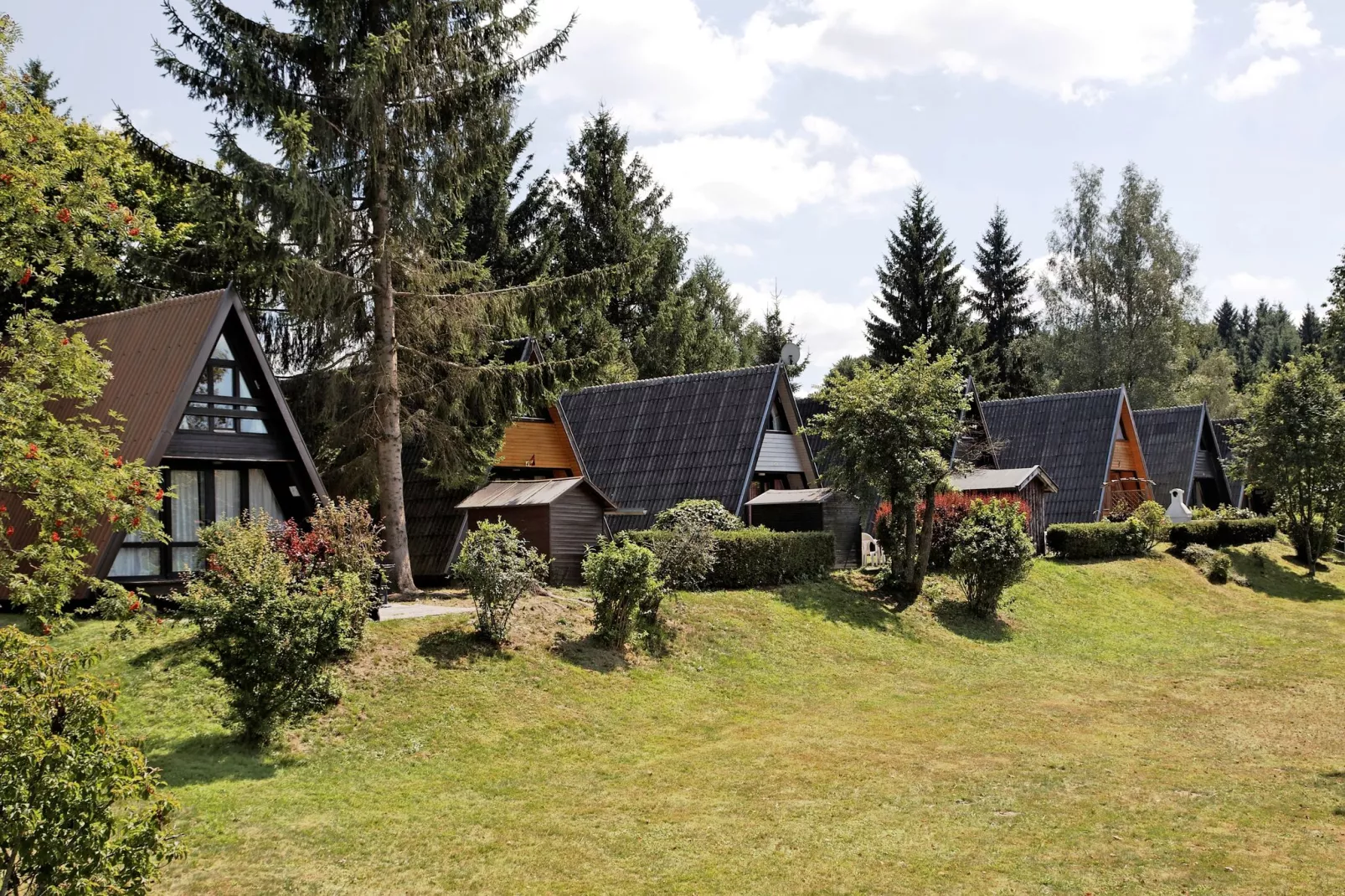 Vakantiepark Jägerwiesen 3-Areas summer 1km