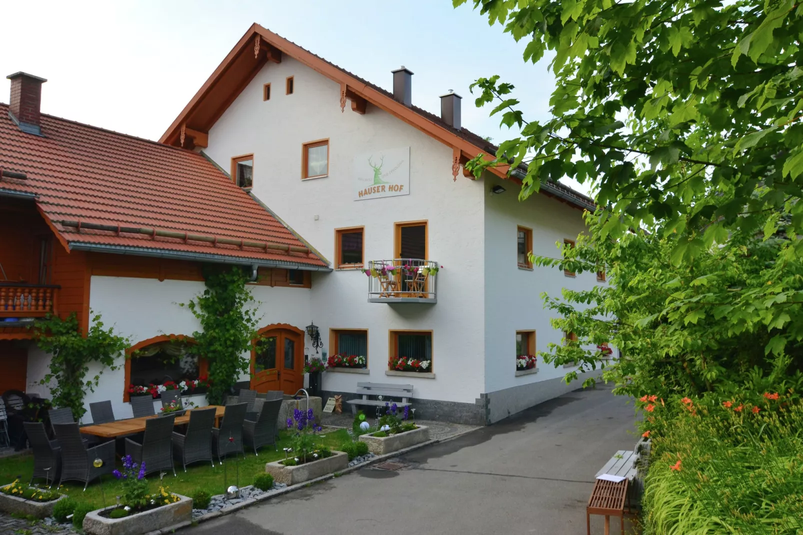 Stocking-Exterior summer