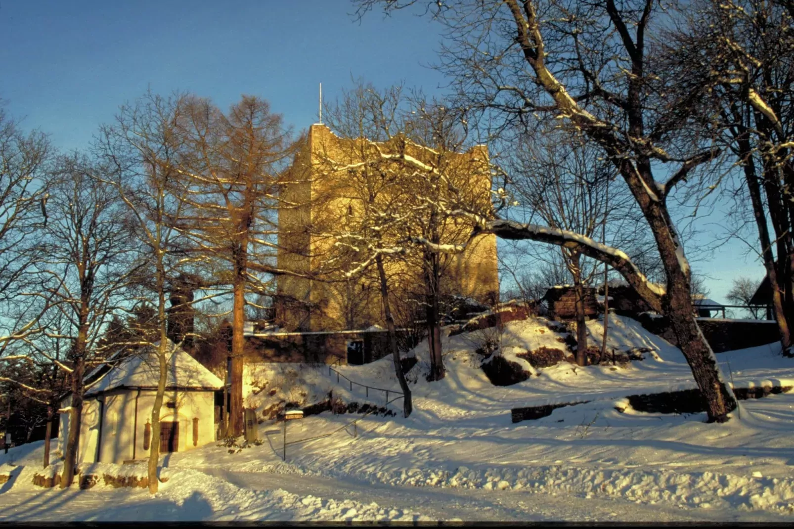 Unique holiday home in Viechtach with sauna-Area winter 1km