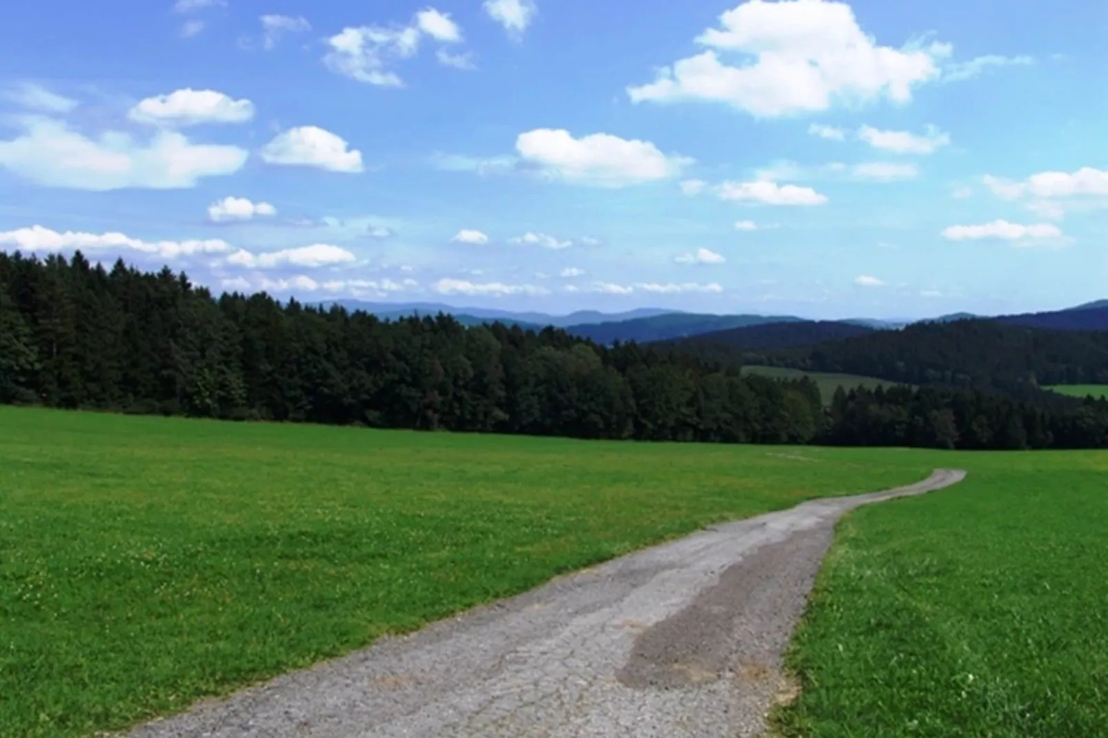 Unique holiday home in Viechtach with sauna