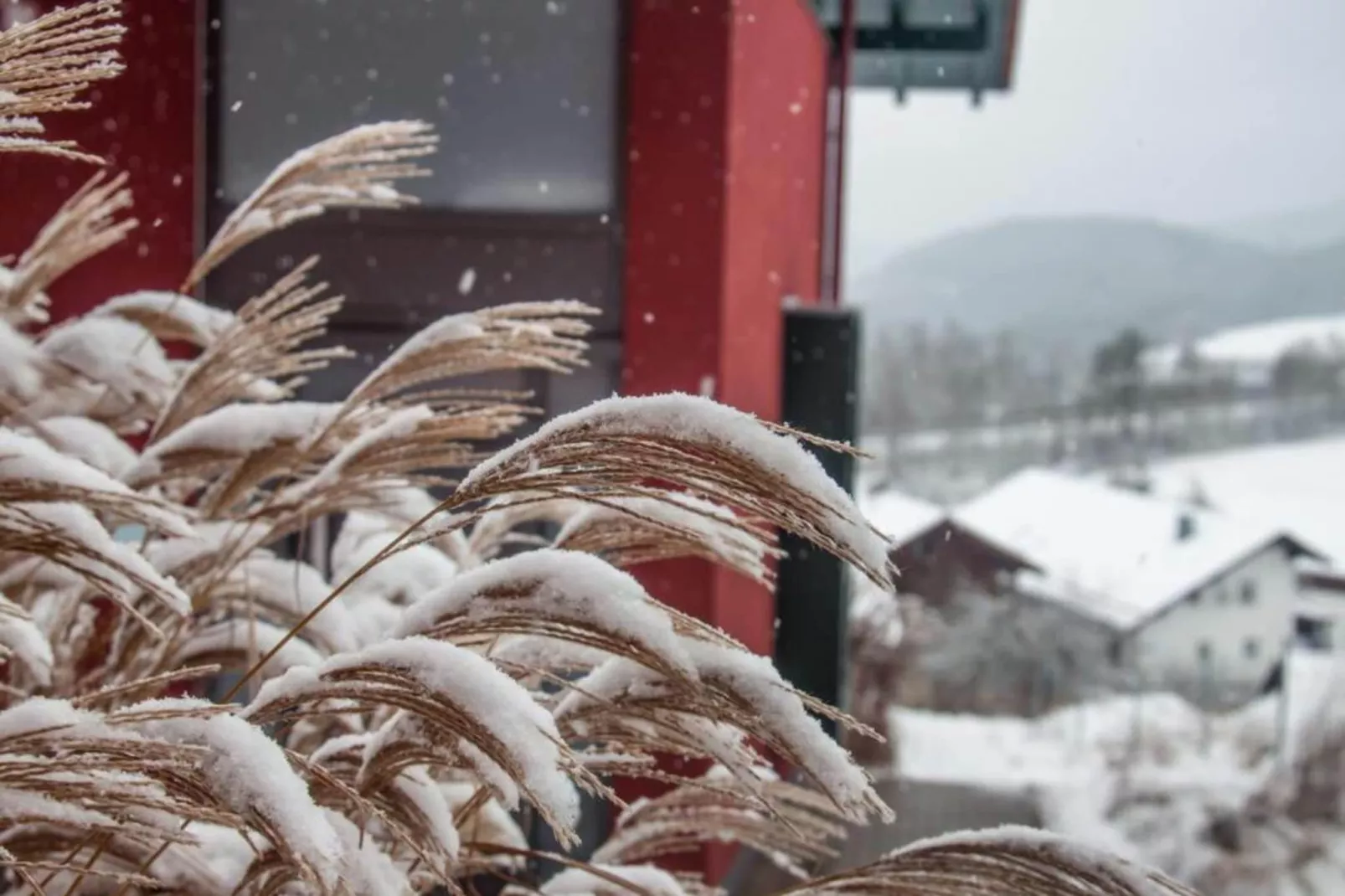 Holiday home with sauna in the Bavarian Forest-Garden winter