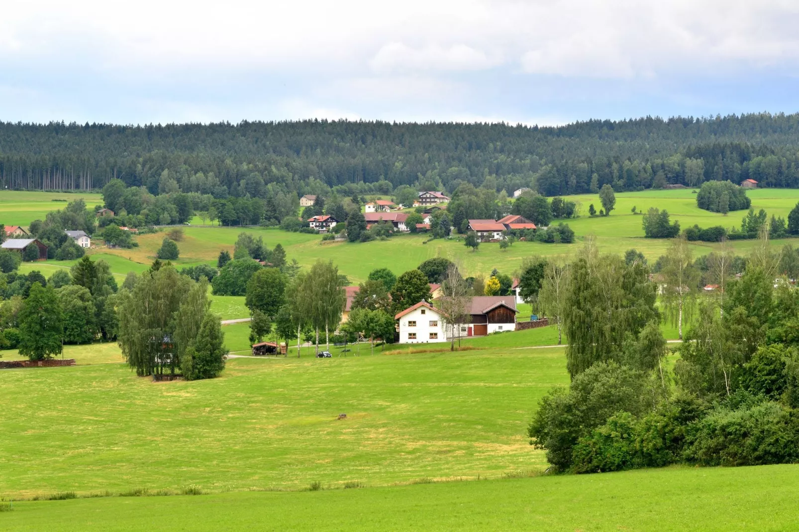 Bayerischer Wald-Aussicht Sommer