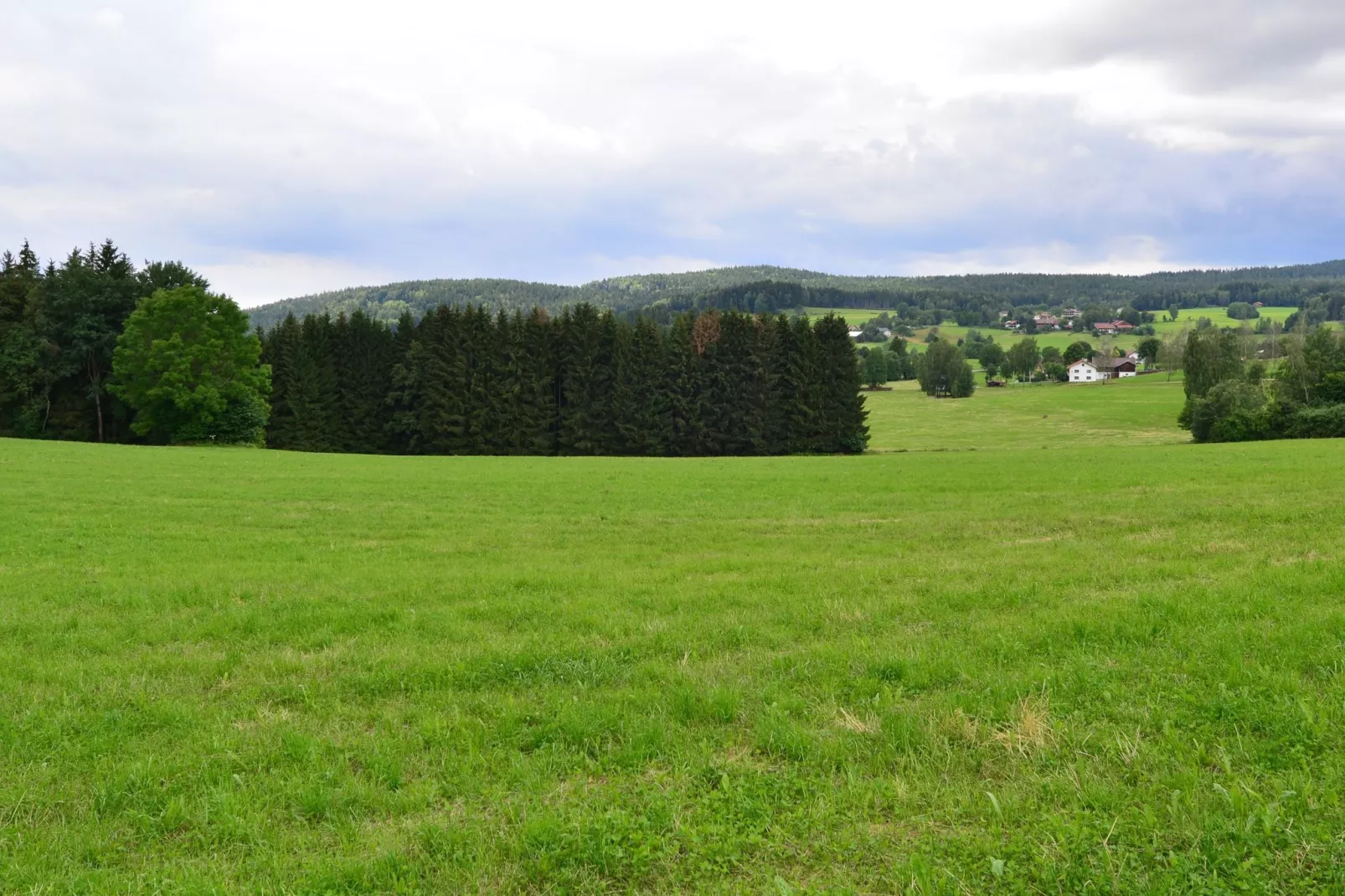 Bayerischer Wald-Gebiete Sommer 1 km