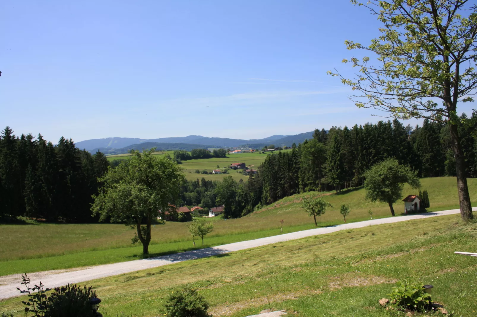 Gruber Ferienhaus-Aussicht Sommer