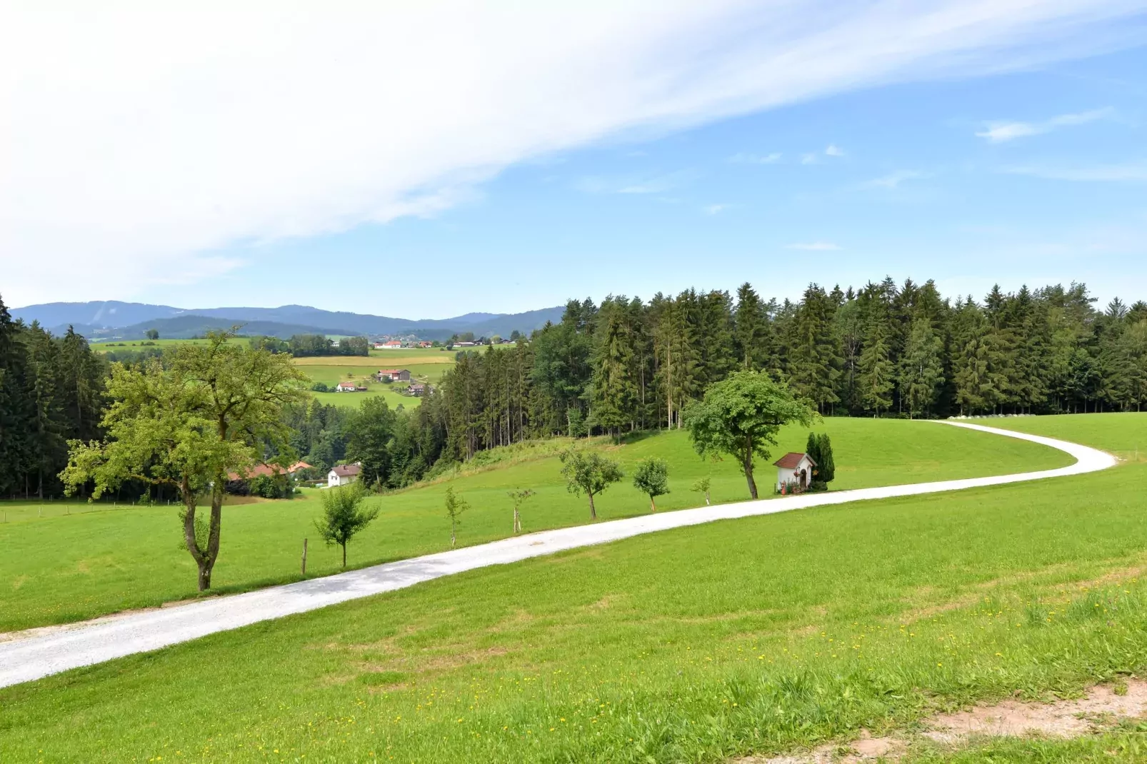 Gruber Ferienhaus-Gebiete Sommer 1 km